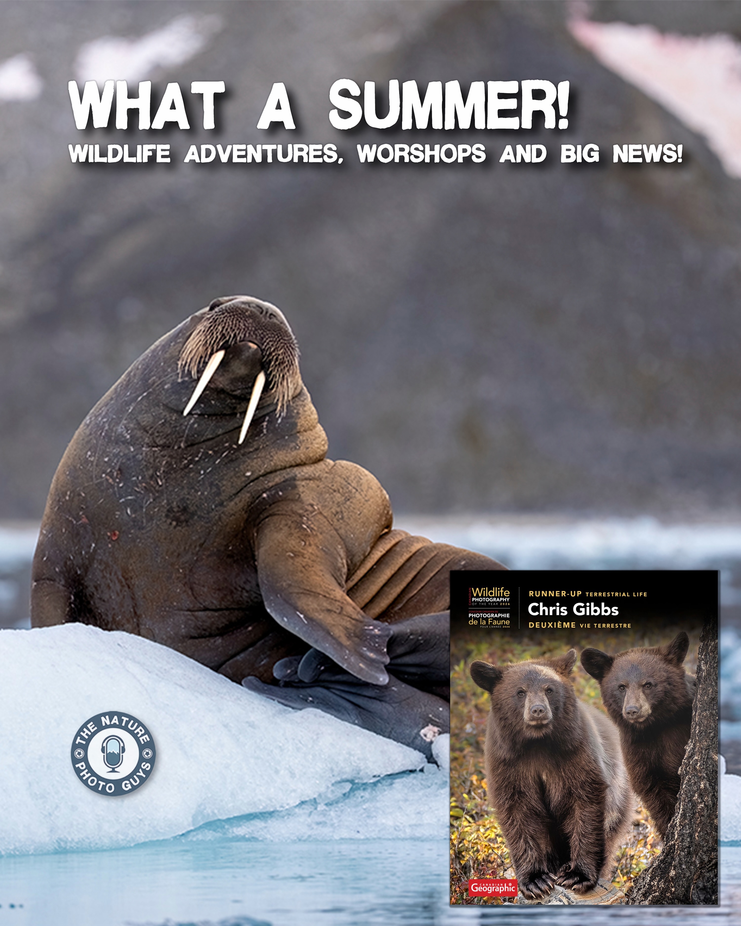 In this episode of The Nature Photo Guys Podcast, Joe and Chris sit down to talk about everything that’s happened since spring. From photography workshops and events to time in the field, travel, wildlife encounters, new adventures, and what’s coming next, there’s been plenty happening.
And there’s some exciting news to celebrate: Chris was named runner-up in the Terrestrial Life category of Canadian Geographic’s Wildlife Photographer of the Year competition!
We’ll talk about Chris’s recognition, highlights from the past few months, behind-the-scenes stories, lessons from the field, and the adventures and projects coming up.
If you’re into wildlife and nature photography or just want to catch up with what we’ve been doing, grab a coffee and join us.
In this episode:
• Chris’s Canadian Geographic Wildlife Photographer of the Year recognition
• Where we’ve been since spring
• Recent workshops and photography events
• Wildlife and travel adventures
• What’s coming next for The Nature Photo Guys
Subscribe to The Nature Photo Guys Podcast for conversations about wildlife photography, nature, gear, fieldcraft, adventures, and life behind the lens.
#TheNaturePhotoGuysPodcast #CanadianGeographic #NaturePhotography #WildlifePhotography #joedesjardinsca FootprintsInNature
Watch on YouTube: @TheNaturePhotoGuys
Listen on all major podcast platforms
https://youtu.be/GMJ-3eWWlKk?si=b5WcUMasqkBW185q