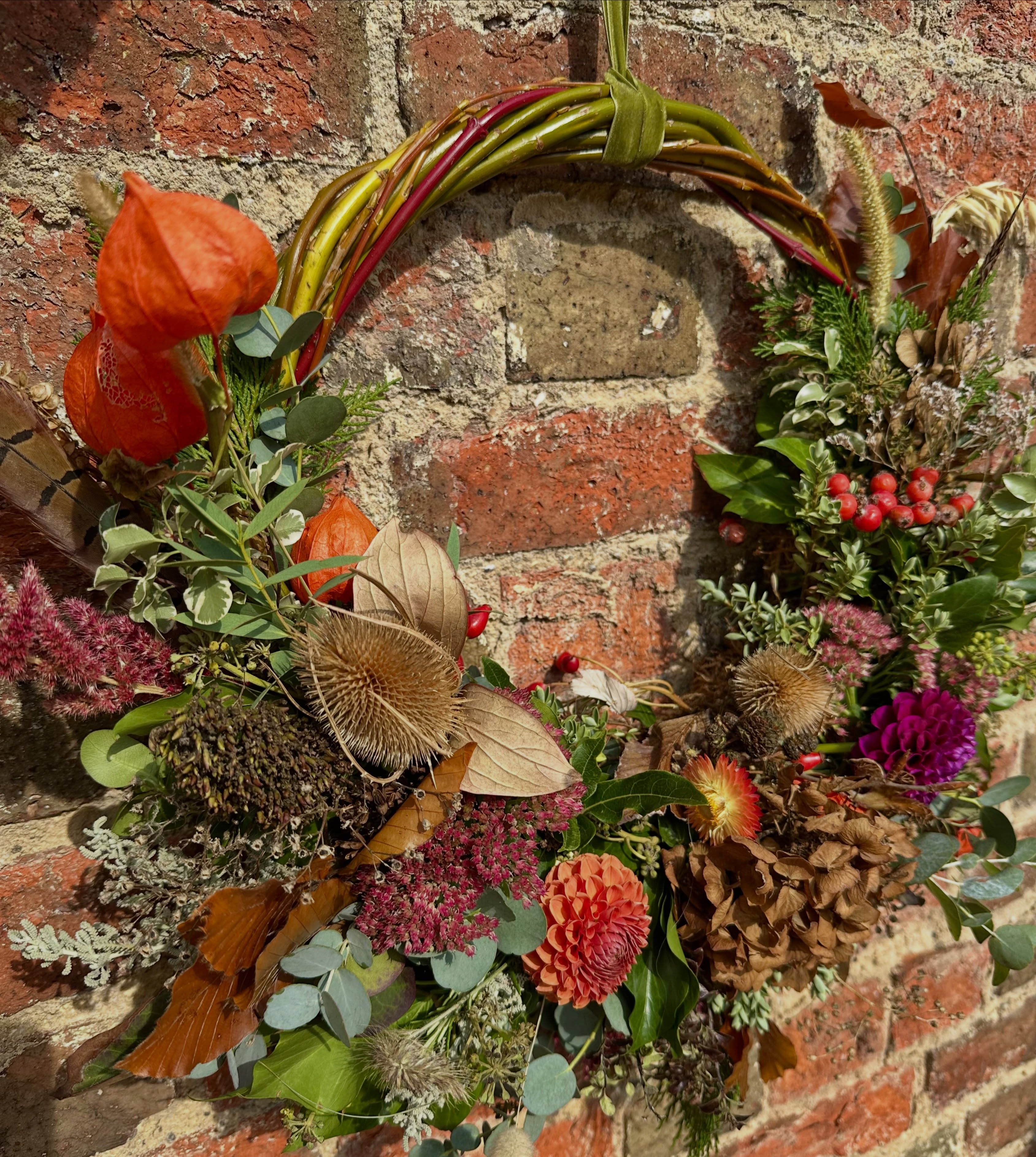 Lots of Autumnal loveliness out for delivery today - chinese lanterns, teasels, berries, grasses, seed pods, feathers, hydrangeas, strawflowers mixed with fresh foliage and a few dahlias on a handmade willow frame. Ready to pretty up a door and take it through until a christmas one replaces it. These wreath last so well as the materials are either dry already or chosen for how well they dry and hold their shape and colour.
🍁
Still room for orders over the next 2 weeks. Please message if you would like one.
#autumnwreath #autumnvibes #autumnwreaths #wreathsarentjustforchristmas