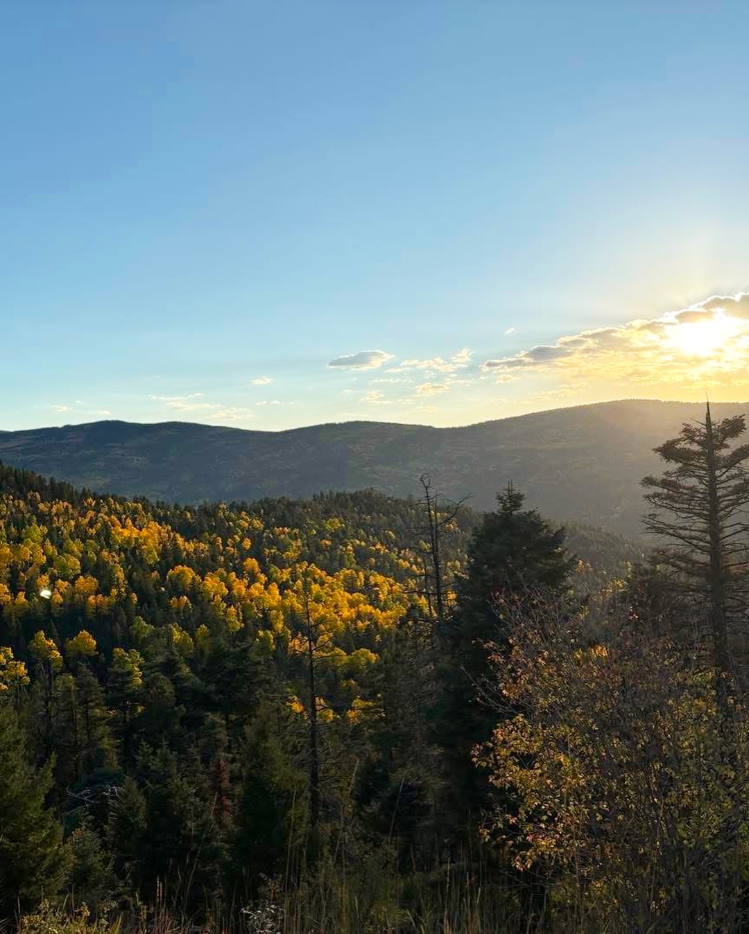 Fall is the perfect time to hit the trails in Colfax County 🍂🥾
• Little Horse Mesa Trail • Raton
• Clear Creek Trail • Cimarron
• Elliot Barker Trail • Angel Fire
• Middle Ponil Loop • Valle Vidal
Find more fall hikes around Colfax County at TheWildDivide.com/blog (link in our bio)!🍁
#TheWildDivide #ColfaxCounty #VisitColfaxCounty #NewMexico #NewMexicoTrue