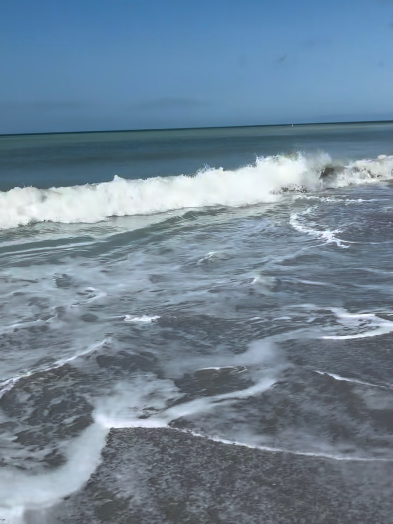 🌊 What if you didn’t have to navigate the waves of midlife alone?
Maybe you’re feeling caught up in the surf… 🌊
Perhaps feeling more like a rip current. 🌊🌊
Losing your footing. 👣
Another wave crashing around you. 🌊
Wondering what’s next.
Some days grounded… other days bobbing.
Midlife can bring change—sometimes big change—questions, transitions, and uncertainty that can leave us feeling a little untethered. 😑
Centered by the Sea has been curated to be your place of mooring. 🚤
An intimate circle of women who are also navigating the tides of midlife.
Together, we’ll:
🌊 Regain our footing
🌊 Create space for clarity
🌊 Listen inward
🌊 Reconnect with the woman within
🌊 Find steadiness in the ebb and flow of life
You don’t need to have it all figured out before you arrive.
Come as you are.
Grab the ring and we’ll pull you in. 🛟
Because sometimes, navigating your way forward begins with finding your way back to yourself. 🧭 🤔
Centered by the Sea
A small virtual circle for women navigating the tides of midlife. 🌊🌊🌊
If this speaks to you, let’s connect.
I’d love to share more about the group.
Come find your inner shoreline.
—Ro 💙
Link in bio!
#sisterhood #connection #findme #goinward #centeredbythesea lifeline