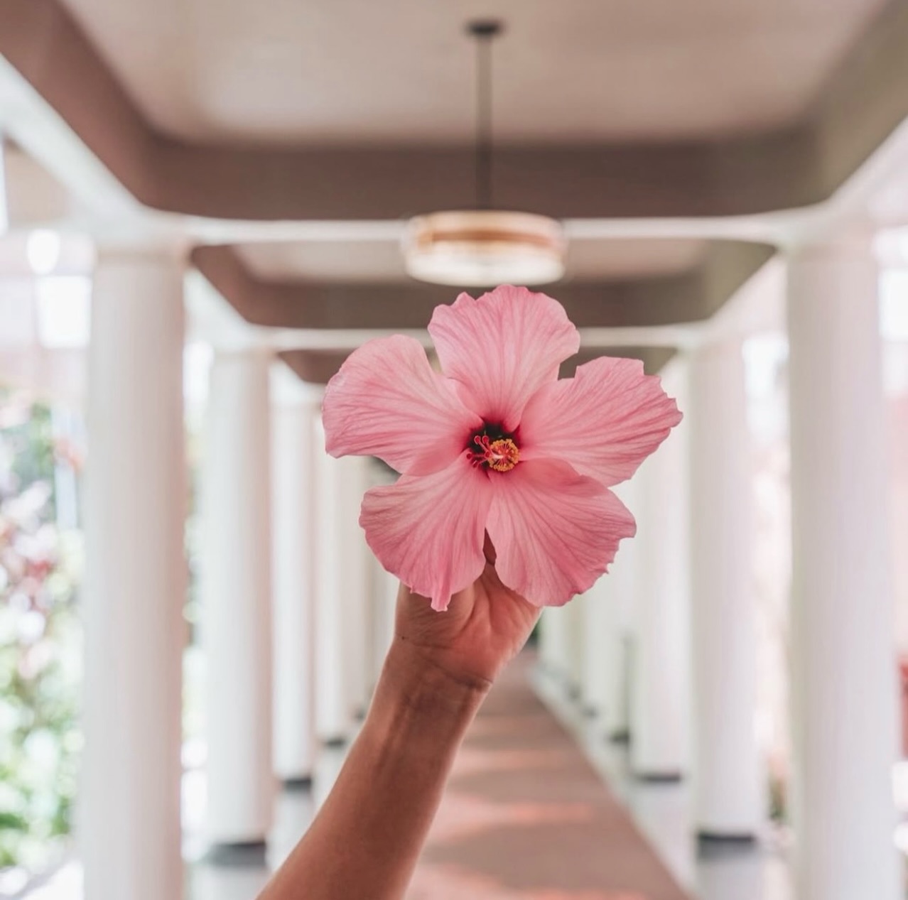 🌺 Who doesn’t like pretty things?! ✨We have a bunch of new pretties in the shop, so come on in and take a look! We will be open fulltime until mid October! 🙌
🌺
Repost, 📸 and follow @tourismhawaii