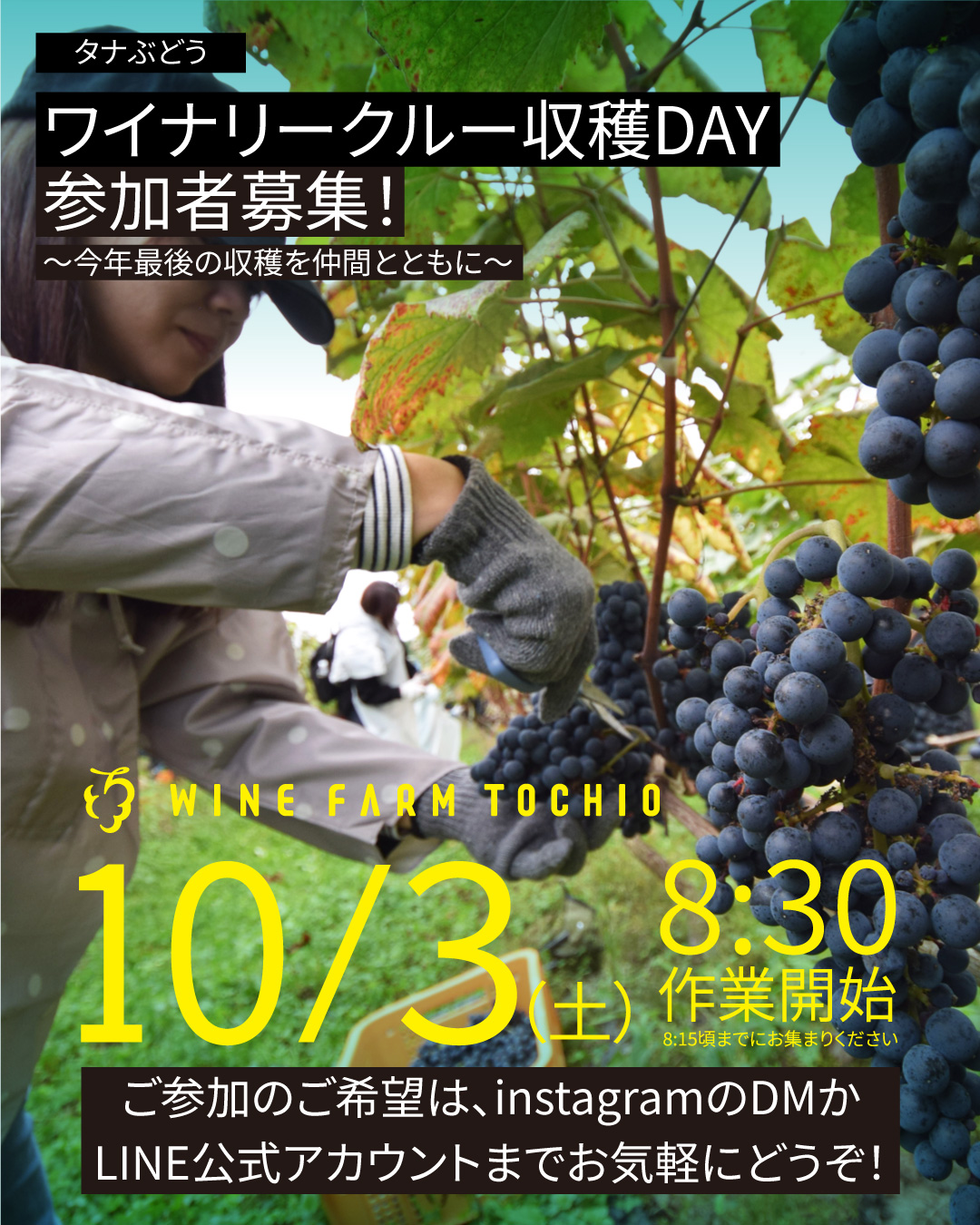 10/3(土曜)皆さまのお力をお貸しください!タナ収穫クルー募集!
今年は天候も荒れ気味で、ぶどうのお世話やワインの醸造にとても苦労する年となりました。
例年、白・赤ワイン用のぶどう収穫で、収穫後のパーティーやキャンプを行い、皆様と楽しいひと時を送ってきましたが、今年はどうしてもその余裕がなく、収穫時での例年のようなおもてなしができない状況となってしまいました。
応援してくださっている皆様には大変申し訳ない思いと、自然の中で皆様とともにワイワイと楽しむ事ができず、本当に残念でなりません。
しかしながら、ワインづくりこそが最優先ですので、頑張って美味しいワインをつくることで、皆様へ恩返ししたいと思います!
今回のタナ収穫も「ワイナリーの一員」として、ぶどうを一緒に収穫してくれる仲間を募集いたします。
今年最後の収穫作業に、ともに汗を流し、みんなでお昼ご飯を囲みましょう。
お土産にはワイナリーで保管してきたバックヴィンテージのハーフボトル(この日だけのオリジナル記念ラベル)を進呈いたします。
今回が2026年最後の収穫となります。ぜひご参加いただき、私どもにお力をお貸しください!
■ 日時:10/3(土)8:30作業開始(8:15頃を目処にお集まりください)
■ 場所:とちお農園ぶどう畑
Google Mapで「とちお農園ぶどう畑」で検索。
■ 内容:ぶどうの収穫作業(体力をしっかり使います!)
■ 支給:昼食・飲み物・T100タナ バックビンテージ(ハーフボトル)
■ 詳細・お申し込み
こちらの弊社アカウントへのDM、もしくはプロフィールに掲載のLINE公式アカウントへ、氏名・ご住所・お電話番号をお送りいただくだけです。
■ 持ち物・注意事項
ハサミ、汚れてもよく作業に適した服装と履物、虫除け
※作業の性質上、0歳から小学生までのお子様はご参加いただけません。
◾️参加申し込み締切は収穫の前夜17:00まで。
÷~÷~÷~÷~÷~÷~÷~÷~÷~÷~÷~÷~
ワインを通じてともに体験を分かち合う楽しさを提供したい。
私たちWINE FARM TOCHIOは、新潟県長岡市栃尾地域にある⾃社畑を持つワイナリーです。
標高2~300mの山間でケルナー・メルロー・タナを栽培し、それぞれを単一品種で醸す「T100シリーズ」をフラッグシップとして展開。
厳しい新潟県の自然と向き合いながら、栃尾の⾵⼟とぶどう本来の味わいを丁寧に引き出しています。
また、収穫体験や畑の作業なども受け入れ、地域を知り、味わい、楽しむ仲間とのつながりも大切にしています。
⼀緒に「この土地の味」を育てていきませんか?
WINE FARM TOCHIO
〒940-0223
新潟県長岡市栃尾本町3-11
栃尾地域交流拠点施設トチオーレ向い
☎︎0258-89-8960
お車でお越しの際はご案内いたしますので、お気軽お電話ください。
