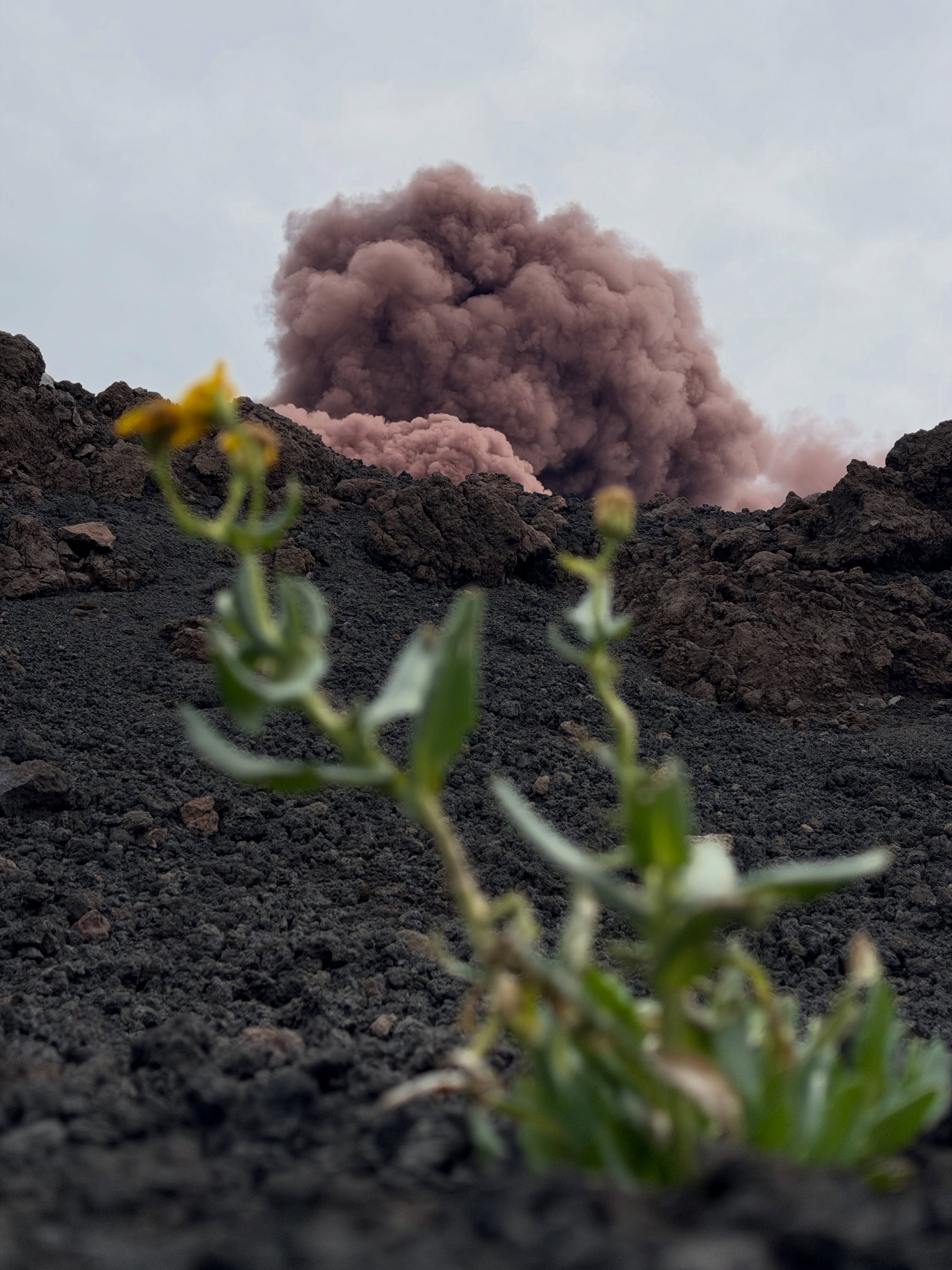 #Etna Central Craters • Visitando i crateri in cima al vulcano colorato in compagnia di Milena 🌋❤️ #sicily #volcanoes #sicilia #guidevulcanologichesicilia
👉Prossimi appuntamenti 01-02-03-04 Ottobre
🌍 https://www.etnative.com/etna-cratere-centrale
☎️ wa.me/etnative o +393780861560
📧 etnativo@yahoo.it