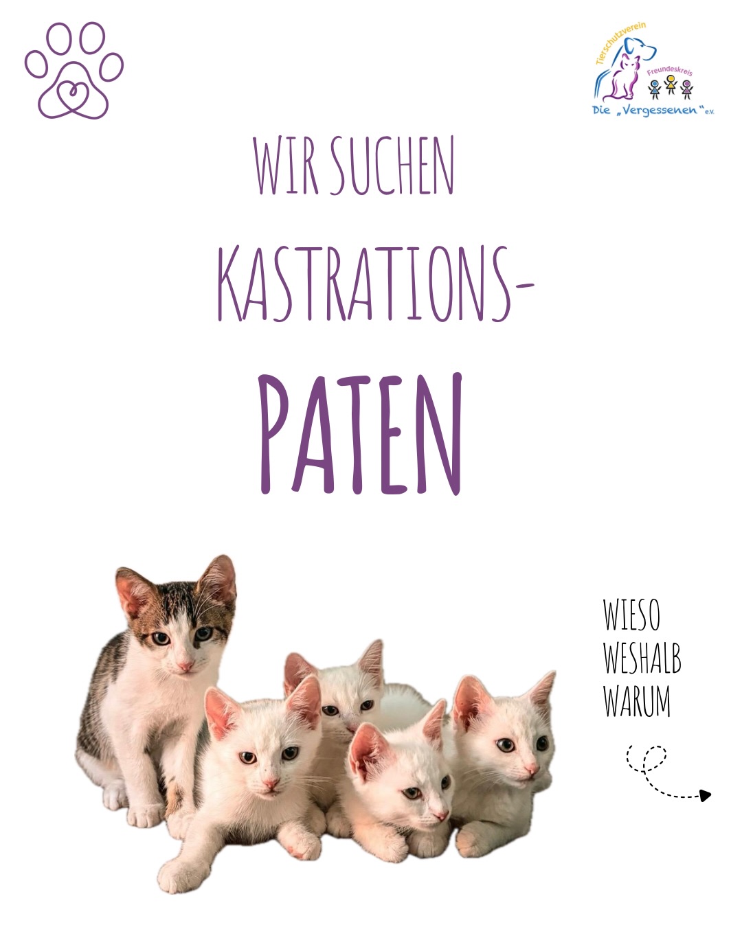 Kastrationen sind einer der wichtigsten Bausteine im Tierschutz – und gleichzeitig eine große finanzielle Herausforderung.
In diesem Beitrag zeigen wir euch, was wir bereits leisten und warum wir dafür dringend Kastrationspaten suchen. 🤍
Im Durchschnitt kostet uns eine Kastration in Polen für eine Kätzin ca. 50€, für einen Kater ca. 30€. In Deutschland sind die Kosten einer Kastration um ein vielfaches höher.
Wer möchte eine Kastration monatlich übernehmen und Kastrationspate werden? 🫶🏻
Schreibt uns gerne kurz eure Kontaktdaten 💌