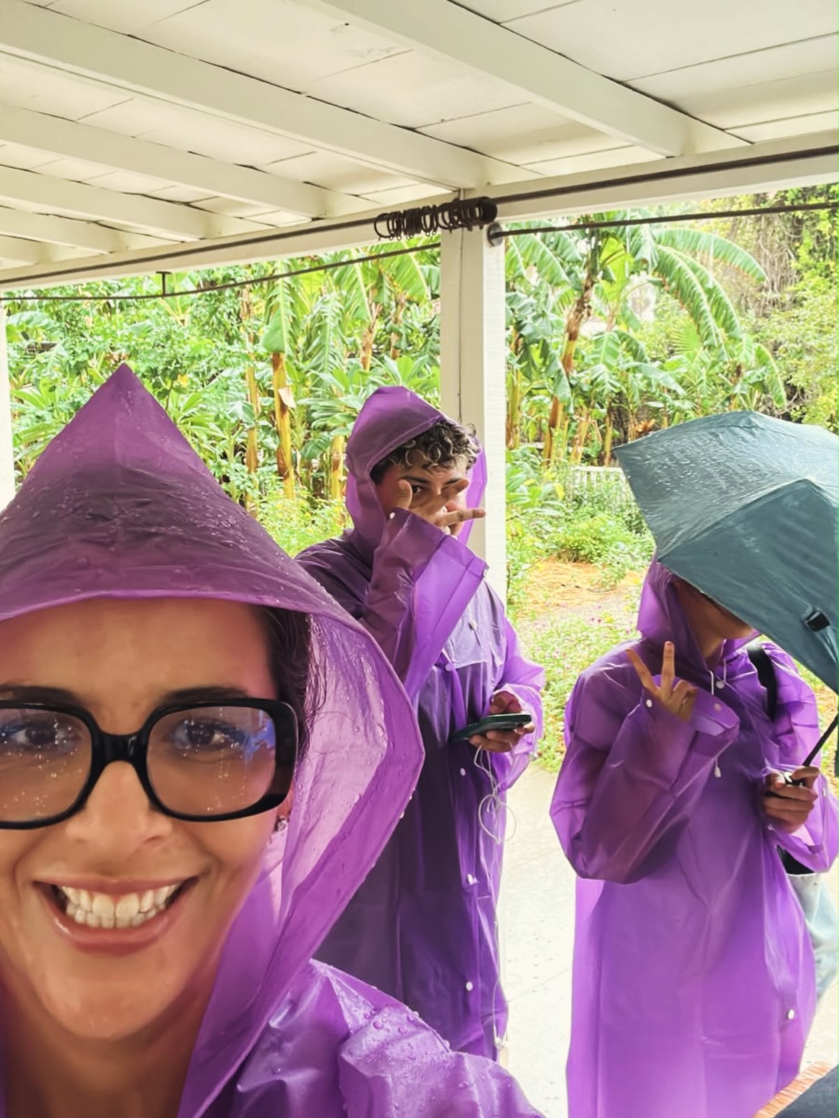 Closed today….raining in Baja California!💜 (love the Honey Bees in their royal rain gear …truly!) 🍯🐝