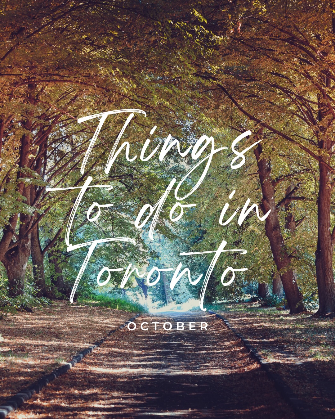 Welcoming October with fun activities in our vibrant city! Which ones are you attending? 🍂☕️