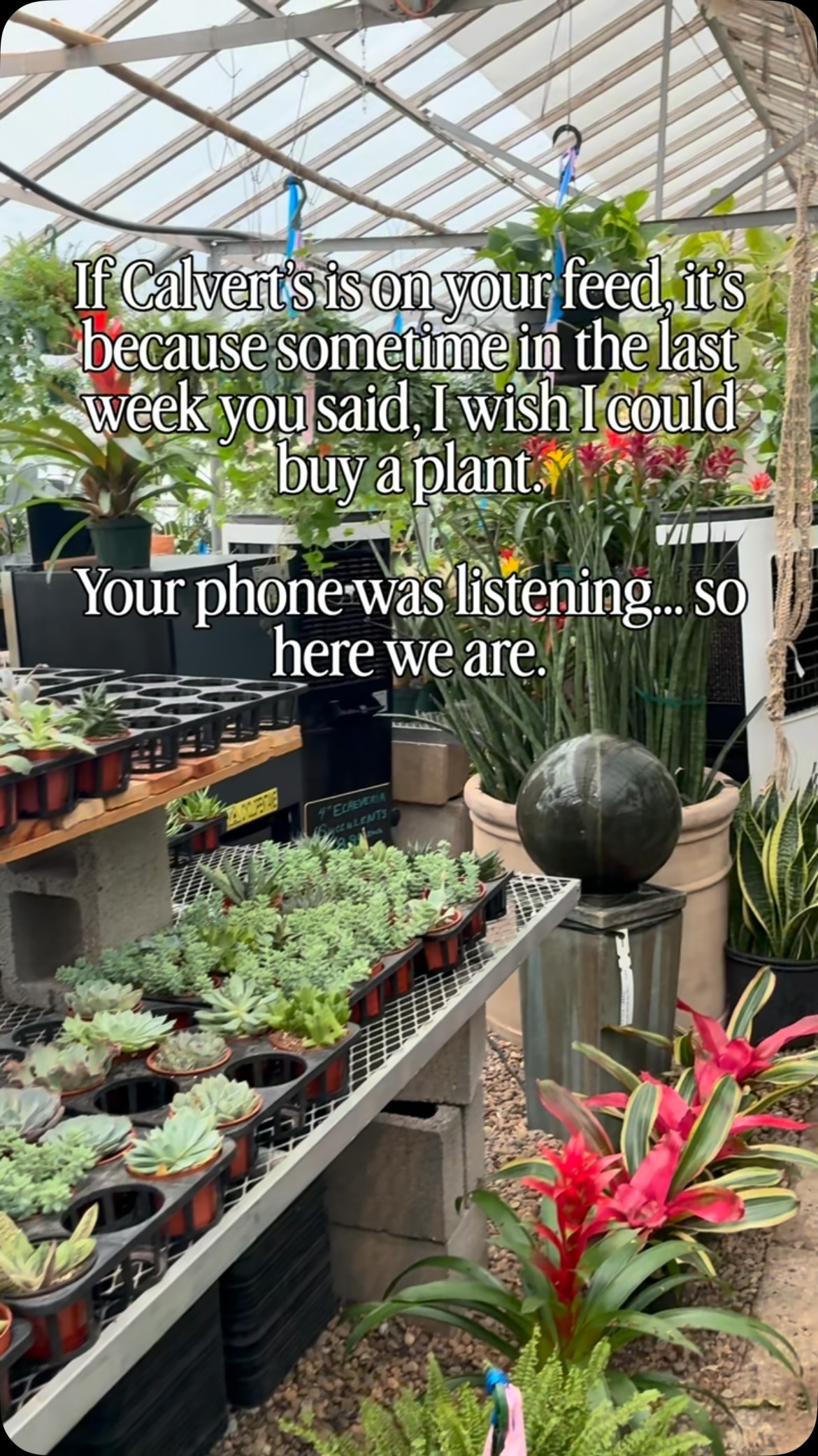 Maybe your phone knows you’re ready for that new plant 🪴
#calvertsplantinteriors #shoplocalokc