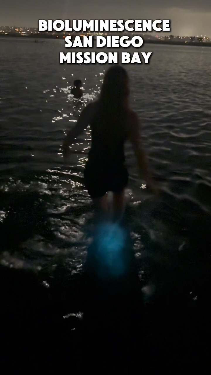 #bioluminescence #dancinginthemoonlight #sofun