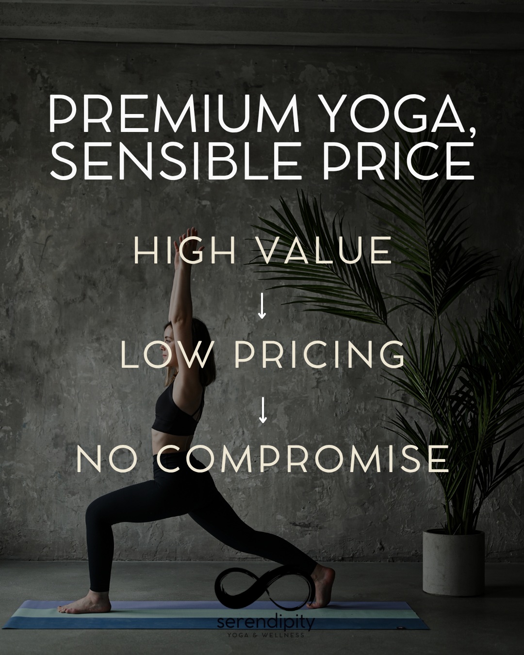 High Value.
Low Pricing.
No Compromise.
A year later, this still matters to me.
I believe movement, physical wellness, mental wellbeing and community should be accessible. Not something you have to think twice about because the price feels out of reach.
So, while plenty of things have gone up, our pricing hasn’t.
Our 10-Class Pass is still $125* and valid for a full year.
That works out to $12.50 per practice.
Prefer to practice more often? Our Monthly Unlimited Pass is $115*.
Two simple options. No long-term commitment. No inflated pricing.
And you can use your pass for practices at The Armoury, Wellington Legion or online.
No cutting corners. No compromise on the quality of instruction or the experience.
Just thoughtful yoga, functional fitness, breath, mindfulness and a community that welcomes you exactly as you are.
Because taking care of yourself shouldn’t have to feel like a luxury.
*Plus HST.
Purchase your pass in studio or online and keep moving in a way that works for you.
#serendipityyoga
#yogapec
#healthymovementyourway