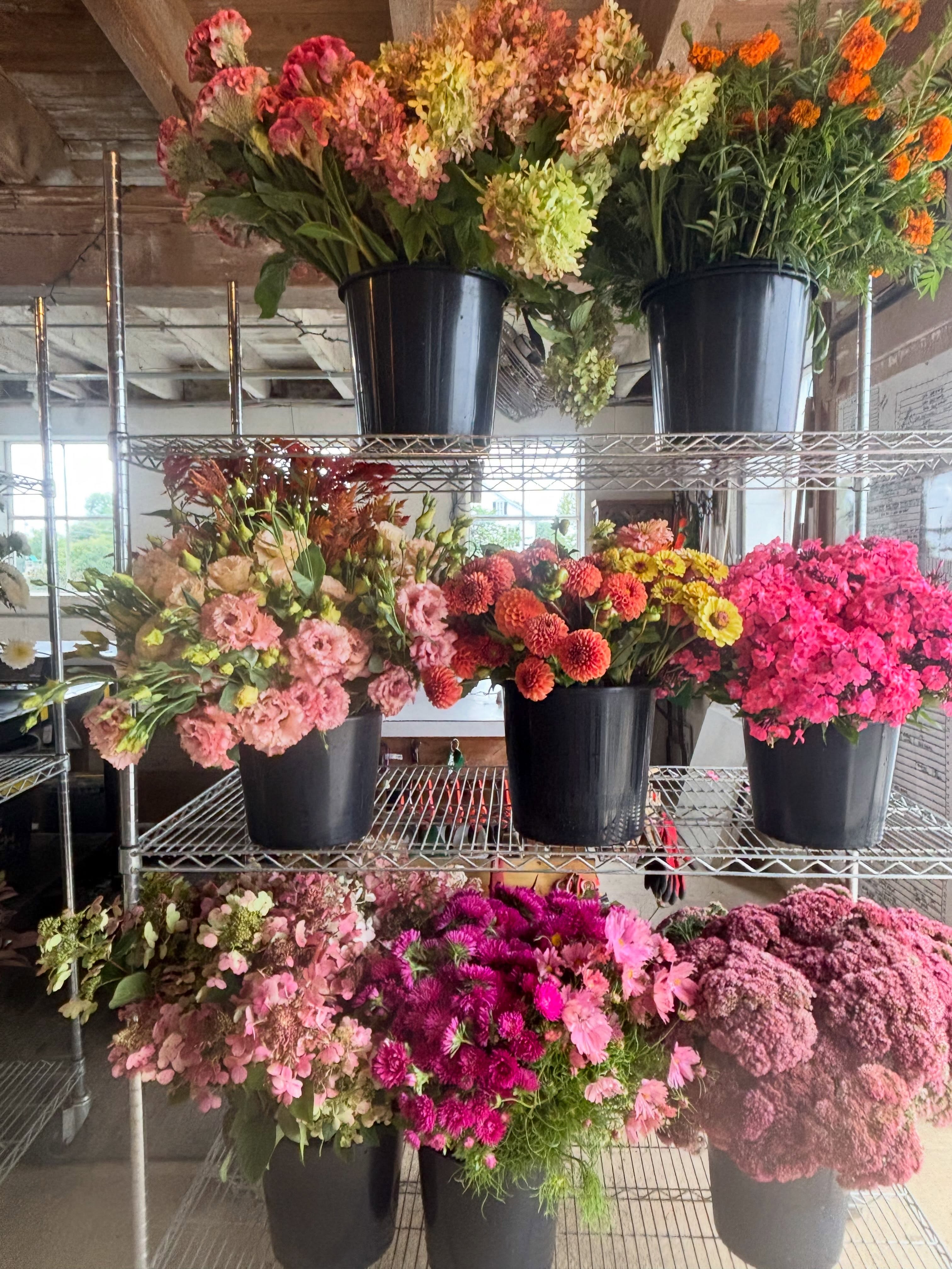 The flowers came to a screeching halt after days of clouds and rain. One of my main roles is “allocation” and it can get pretty stressful to make sure that we keep all our order commitments and maintain quality standards when the flowers slow down. I’m super grateful for today’s forecast of sunshine because we have way more orders to fill. This all left the farm yesterday!