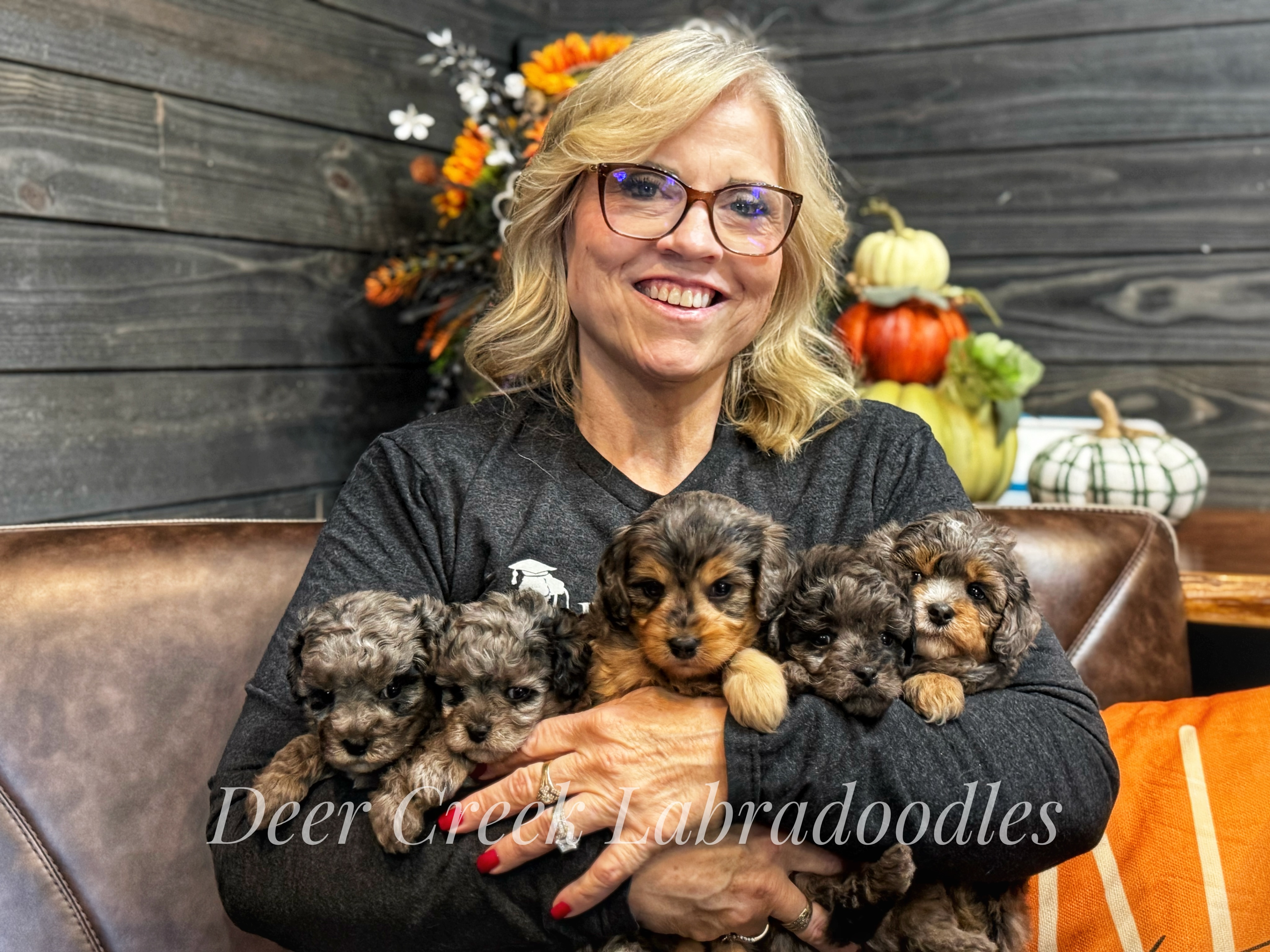 Cricket’s Boo Crew will be ready to go home on Halloween! 👻 #cavapoopuppies #cavapoo #cavapooworld #cavapoolovers