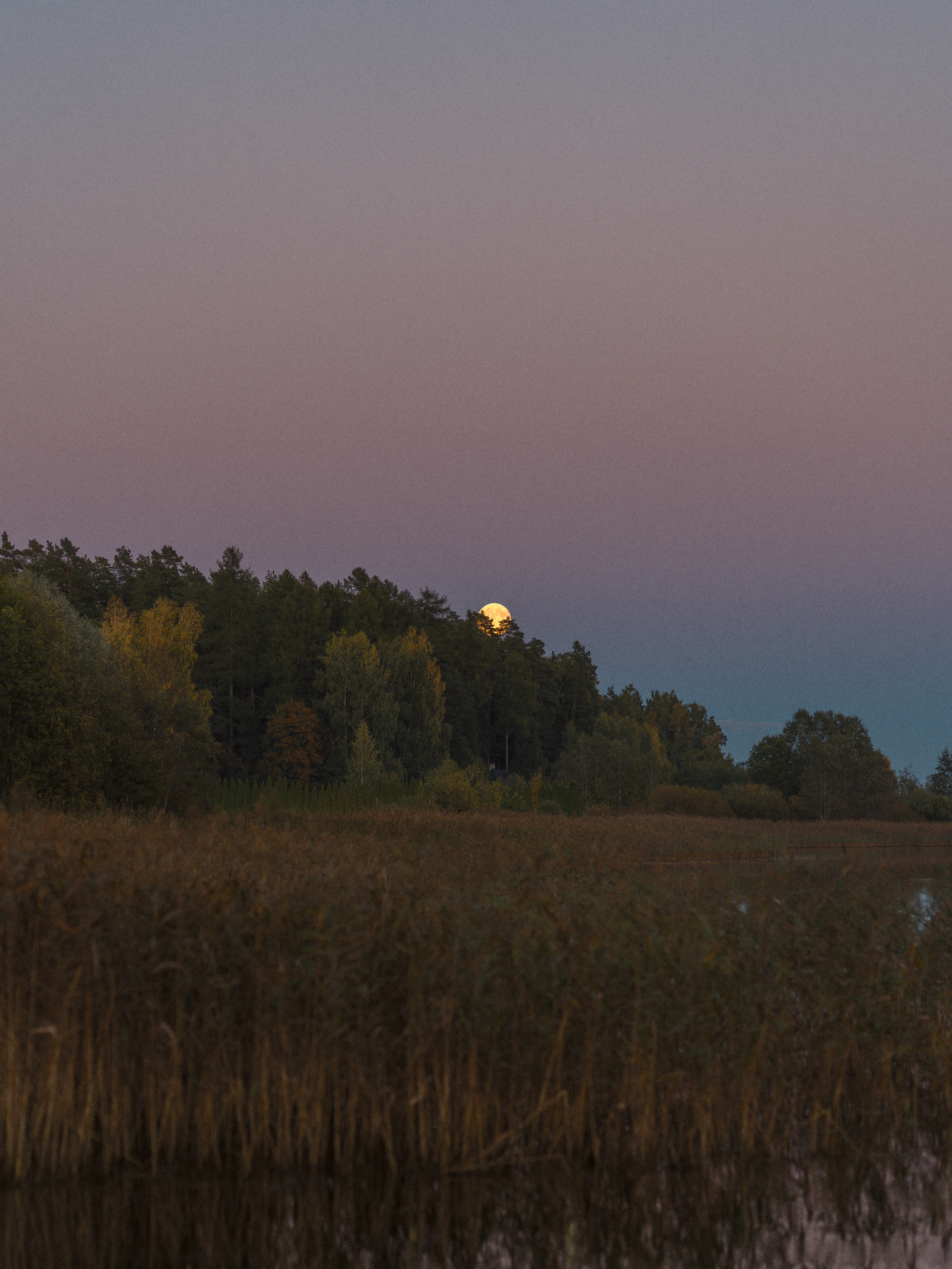 I won’t forget this beautiful harvest moon 🌝