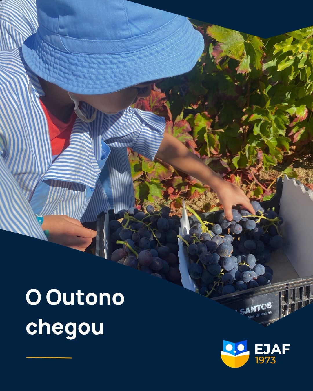 🍂 O outono chegou e trouxe consigo novas cores, novos sabores e muitos momentos para aproveitar.
Entre as vinhas e as uvas, fomos descobrindo um pouco mais desta estação tão especial, que nos convida a abrandar, observar a natureza e apreciar as pequenas coisas.
Uma nova estação começa, trazendo consigo novas experiências, novas aprendizagens e muitos momentos para guardar!
#EJAF #OlhosPostosNoFuturo #MomentosQueMarcam