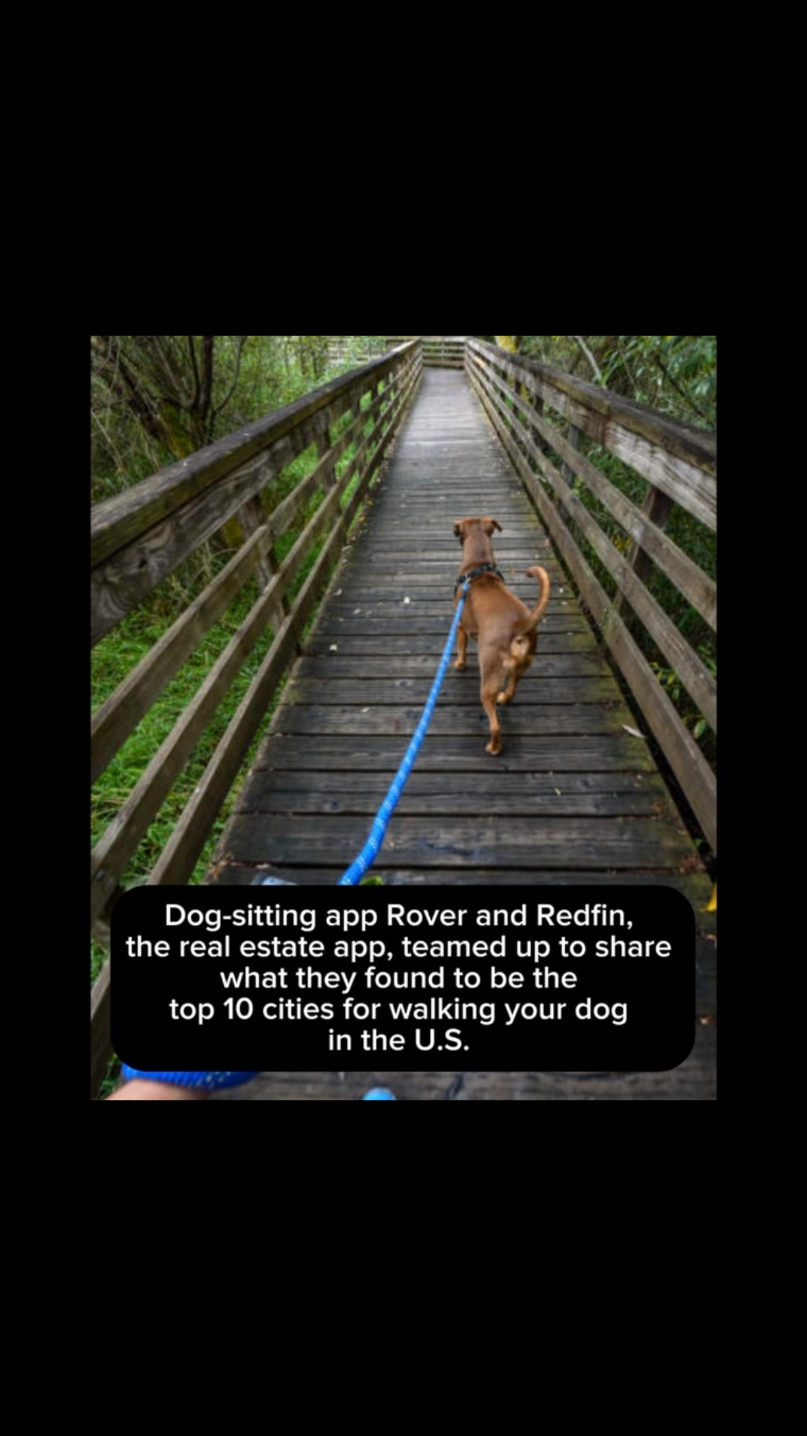 Did your city make the list? Top US cities for dog walks. A couple of them surprised me. #petsitterlife #dogwalk #topuscitiesdogwalk