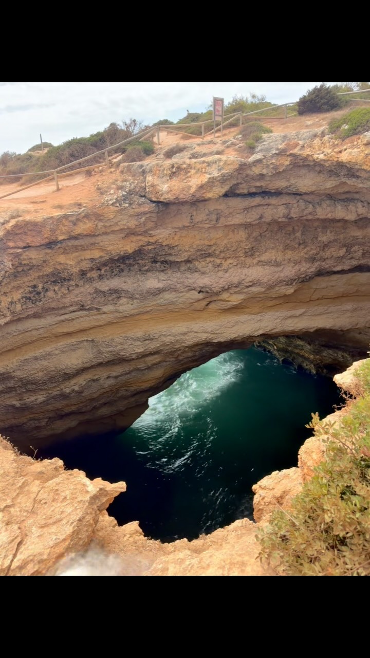 27 hours w @tbirdgagne in the Algarve of Southern Portugal! Skulls, birds, beaches, olive, almond and carob trees, wild jasmine, wild thyme, wild fennel and wild women on the cliffs. And needless say, copious amounts of incredible seafood. Thanks @yes.travel.now for the help making it happen. Otherworldly beautiful time!