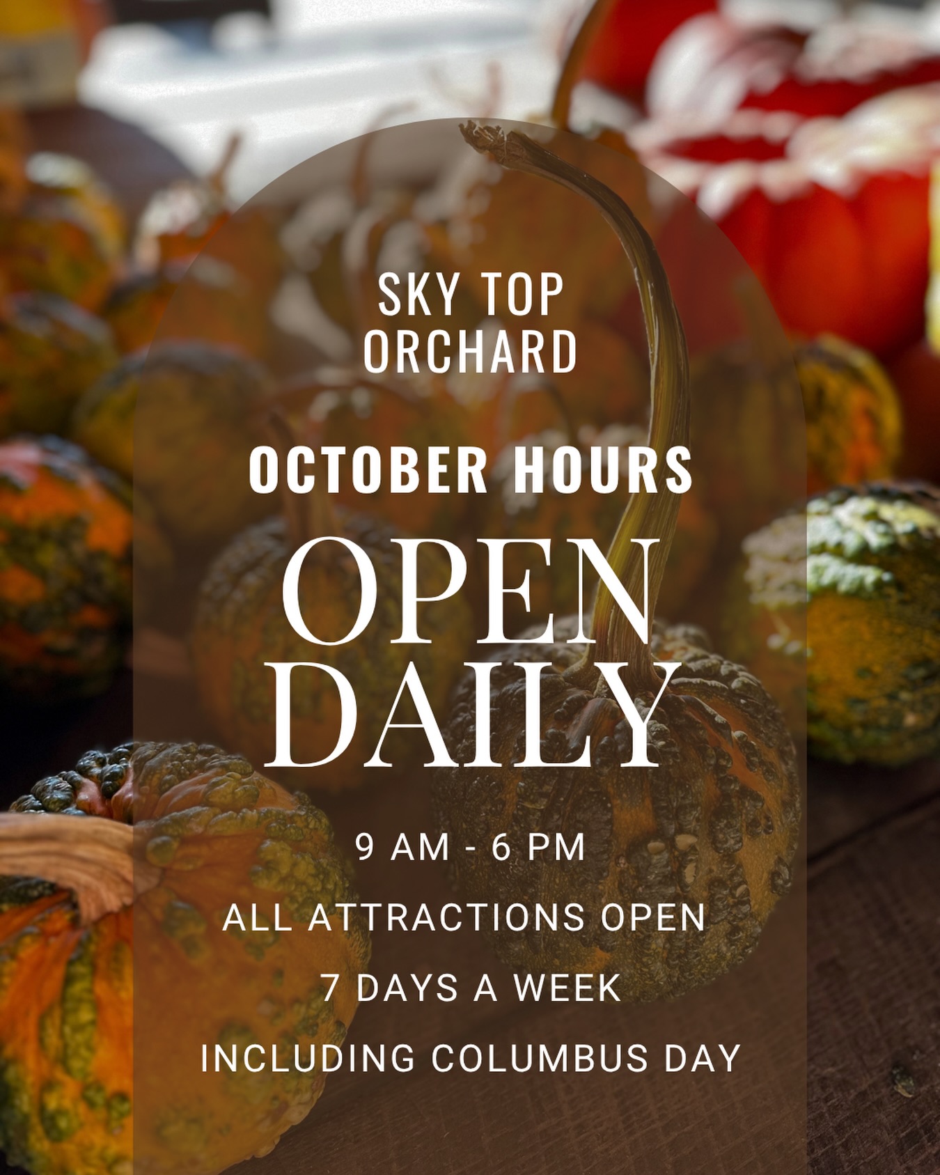 Happy October! 🎃🍎
The fun continues with a lot more apples and some exciting new pumpkin treats too!!
We’re open daily 9-6 in October. All of our attractions (hayride, bee train, apple cannon, and gem mine) are open 7-days a week so the fun doesn’t stop after the weekends! 🐝💎🎯
Yes, we’re open on Columbus Day and Halloween, as well!