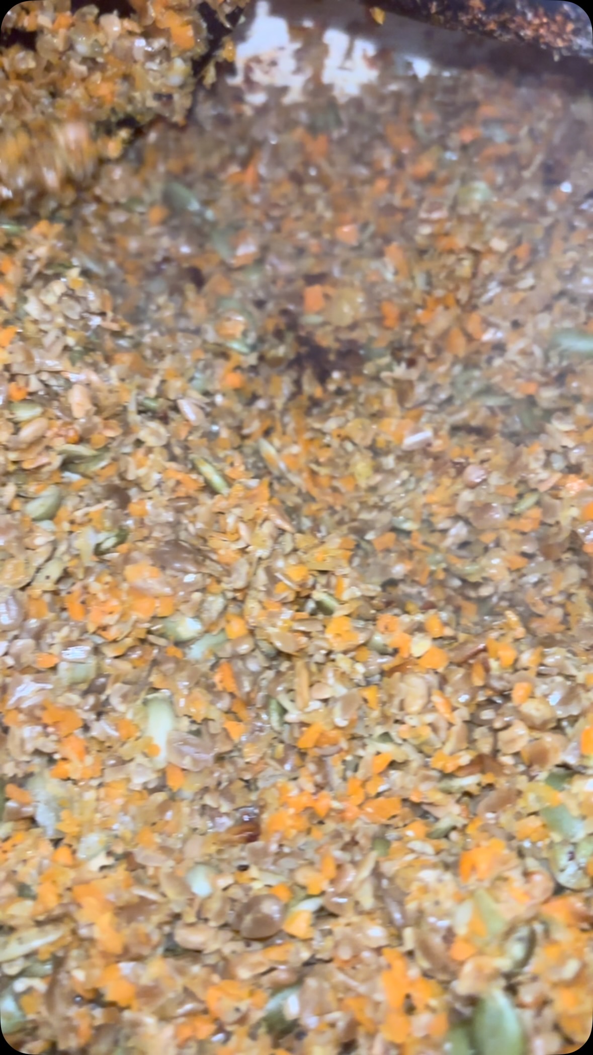 Meet your new favorite meat substitute!🌻
My Sunflower Seed Ground Meat is made with simple, wholesome ingredients: sunflower seeds, carrots & onions and it’s packed with flavor from spices like garlic and cumin🌱
Use it anywhere you’d use ground meat: 🌮 tacos, 🍝 pasta, 🍔 burgers, 🥟 stuffed veggies, casseroles & more!
Whether you’re fully plant-based or just looking to add more plants to your plate, this is an easy and delicious swap. 💚
Available on my online store by the quart!
👉🏾 Tap the link in bio to grab yours.
#VeganEatsWithBri #VeganMeatSubstitute #PlantBasedEating #VeganFood RVAvegans