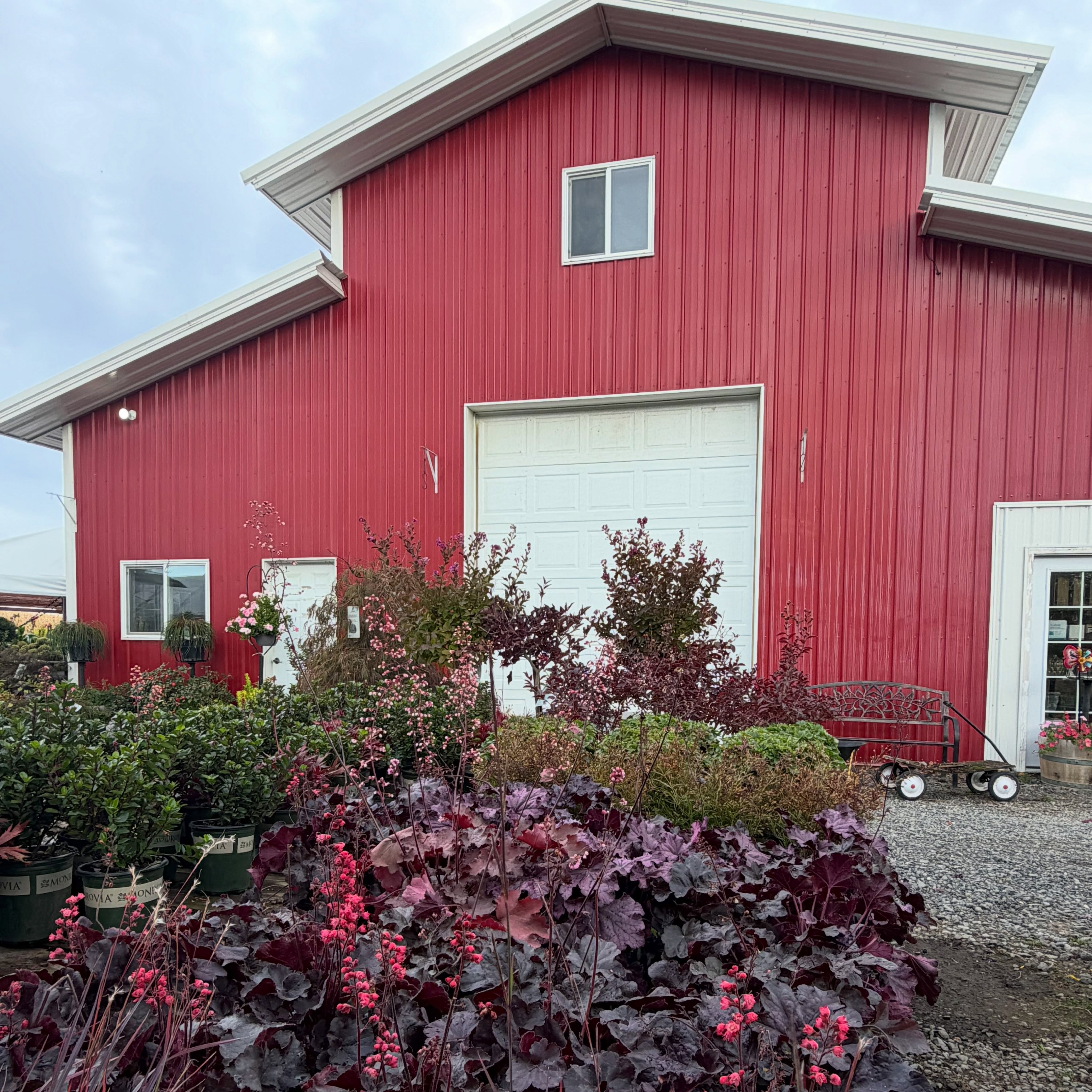 Tomorrows the day! Join us for a cozy afternoon at the nursery and celebrate with us. ๐ Canโt wait to see you there!