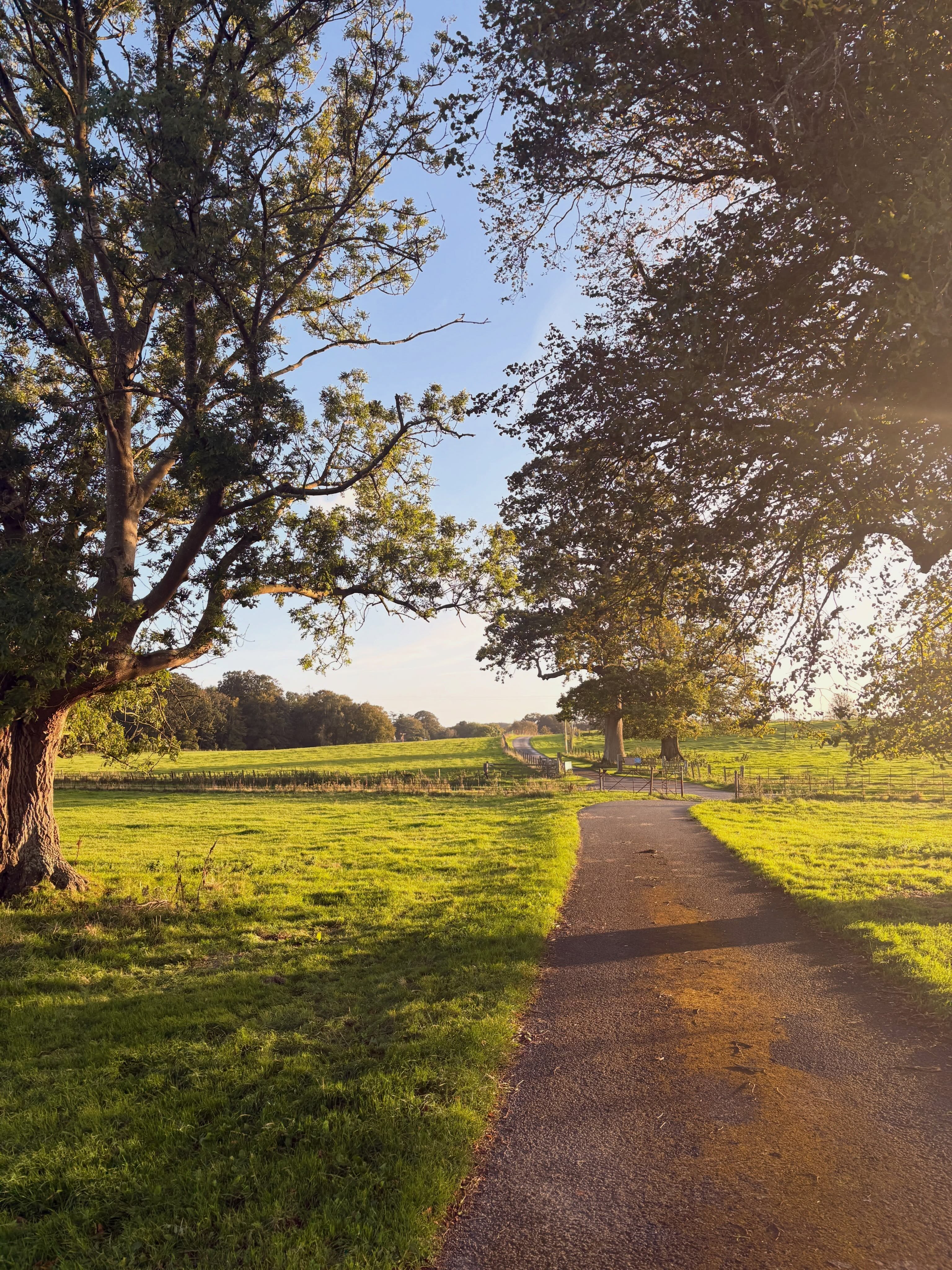 Come on a walk from Stables Courtyard (Garden Apt, Hay Loft) to the shore - with a peek at High Lodge sitting up on the hill - and back at 6pm this evening ⭐️