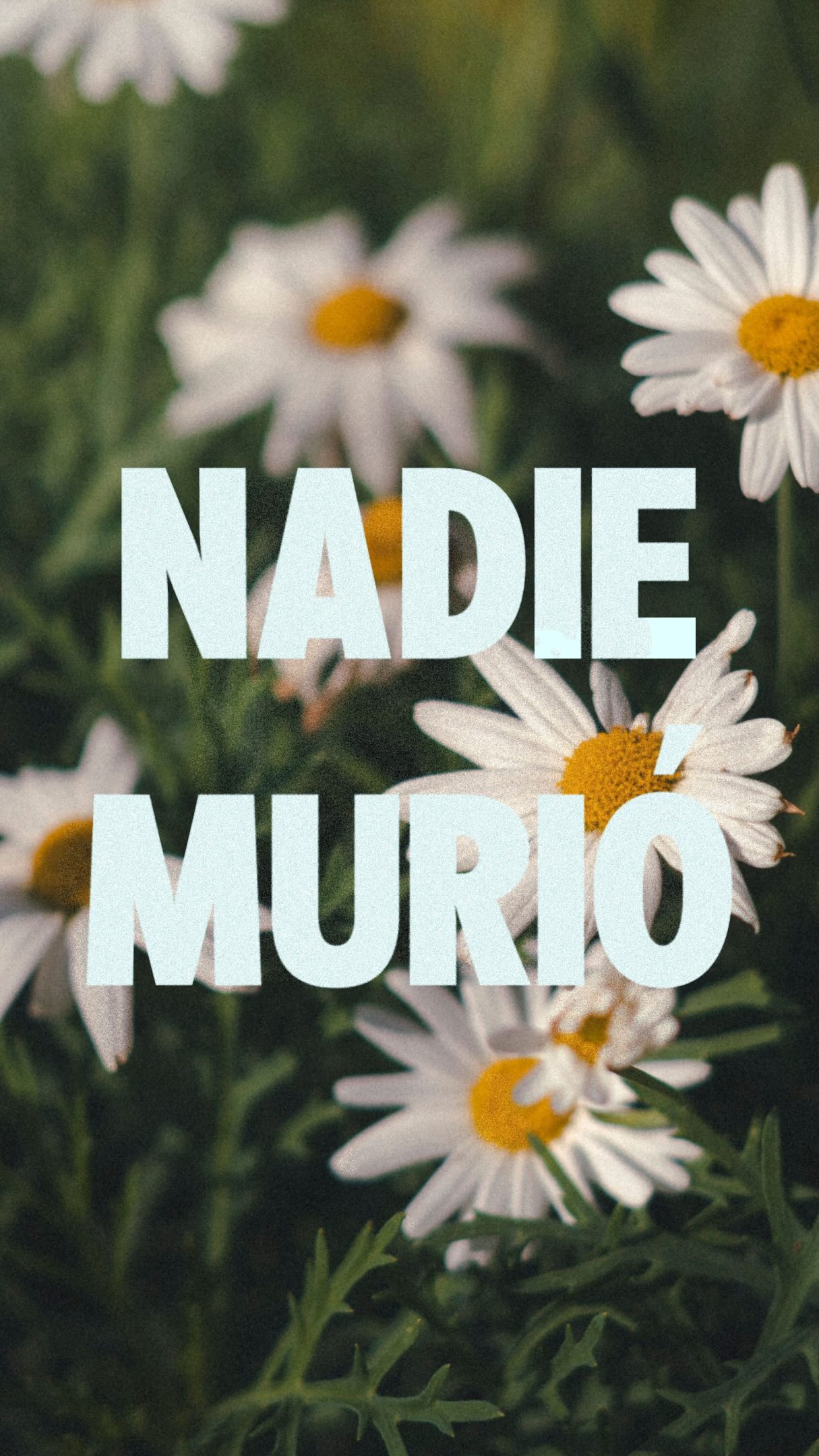 No hace falta que alguien muera para que haya duelo. Una ruptura, un divorcio, un trabajo, un país, la vida que creías que ibas a tener. Si no lo escogiste y te cambió el mapa, tu cerebro lo procesa como pérdida.
No estás estancado por falta de voluntad. Estás corriendo un sistema hecho para un mundo que ya no existe, y actualizarlo toma tiempo.
Si estás entre versiones y quieres hablar con alguien que trabaja en esto todos los días, escríbeme.
Coach de duelo certificado.