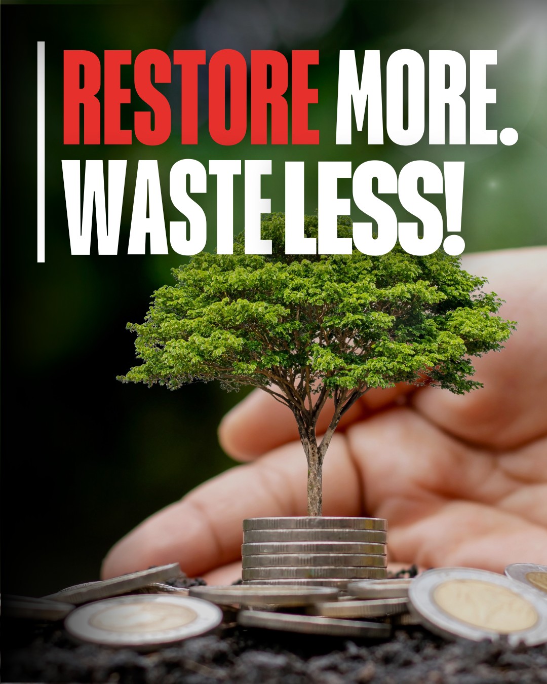 Restore more, waste less. 🌱
Every surface we restore is one less item sent to landfill. From furniture to benchtops, our repairs extend the life of what's already there, without the cost or disruption of full replacement.
Restore more, waste less, one repair at a time.
#SurfaceRepair #RestoreMoreWasteLess #SustainableBusiness