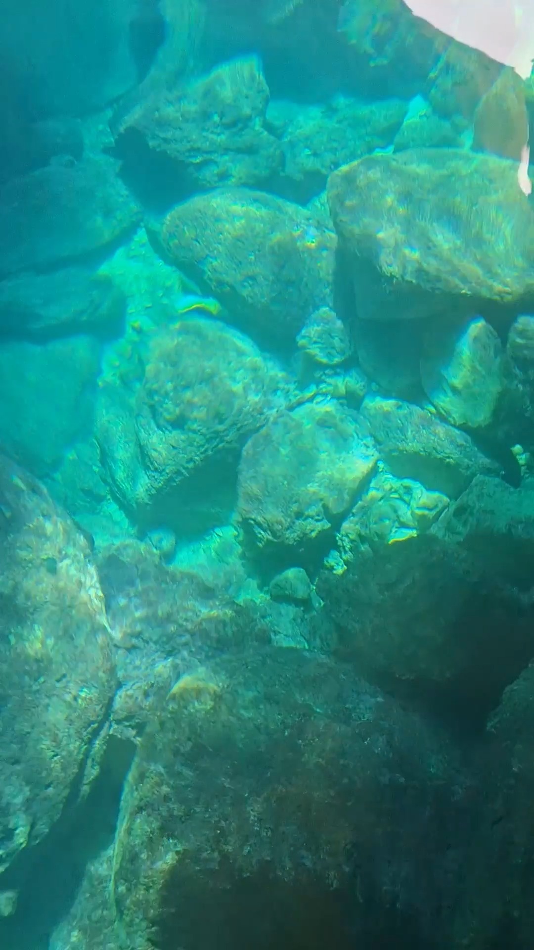 Into the tunnelโฆ and straight into emerald paradise ๐๐ถโจ
.
.
.
#CalmVibes #CrystalClearWater #calm #thebestview #cave