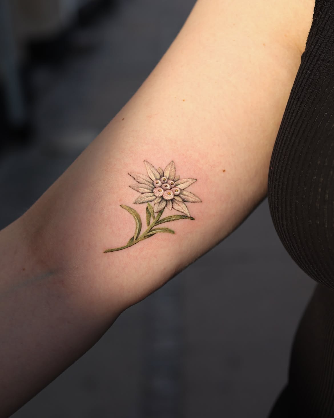 @haihui.tt is coming to visit us again 30th of October to 8th of November !!
If you’re dreaming of a realistic coloured tattoo, she’s your girl !
#colourtattoo #flowertattoo #realistictattoos #copenhagentattoo #københavntattoo