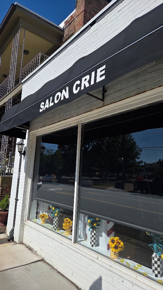 Yesterday was probably one of the busiest days we've had in forever and I'm sure Lu felt like this after we left.
#SalonCrie
#AllthingsCrie
##AllCrieEverything
