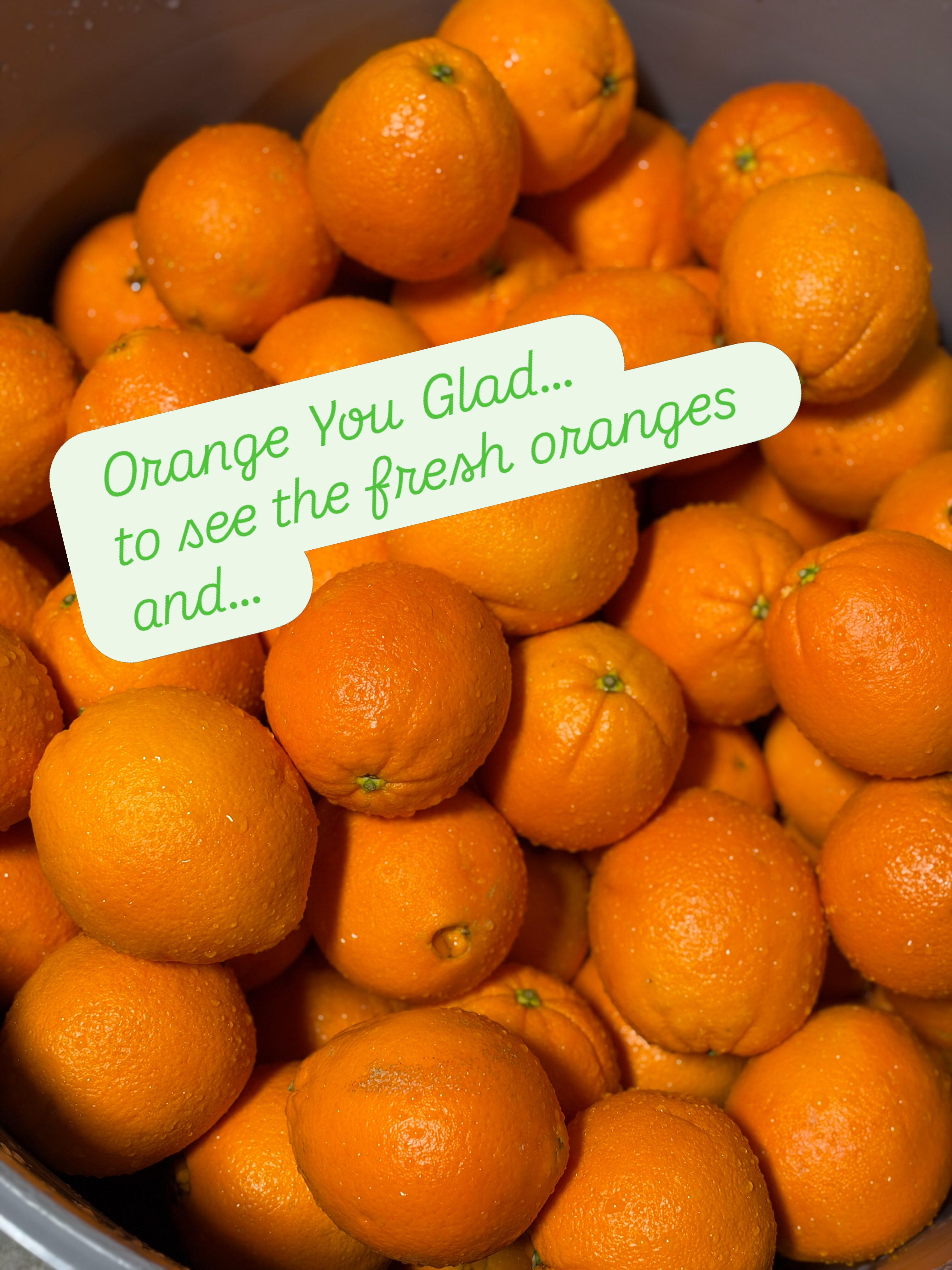 It smells so good in the distillery when we peel the oranges for the đliqueur! Itâs called Orange You Glad to See Me? Artisan Triple Sec and itâs made with our DâUVA 1 Brandy, non-gmo neutral corn spirit, a hit of clove and is lightly sweetened with cane sugar. Weâll post the next steps when they happen!
#nmlocalbusiness #nmtrue #orangeliqueur #nmdistillery #margaritatimeđš