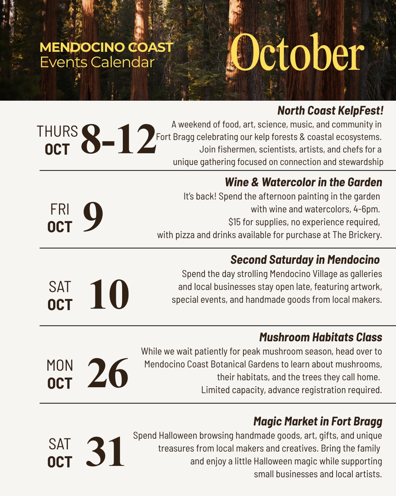 A little October magic on the coast. 💫
The days are getting shorter, the evenings a bit cooler, and there’s a hint of spooky season in the air. October on the coast means cozy gatherings, mushrooms, markets, and plenty of reasons to get out and explore.
Here’s a look at what we’ll be getting into around the Mendocino Coast this month. 🍁
#VisitMendocino #CaliforniaCoast #SmallTown #Community #Halloween