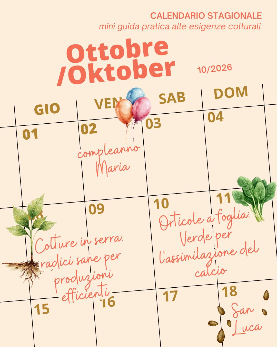 Ottobre, mese di raccolti, ma anche di nuove semine. 🌱
#intactsolutions #zeroresidue #highperformingcrops