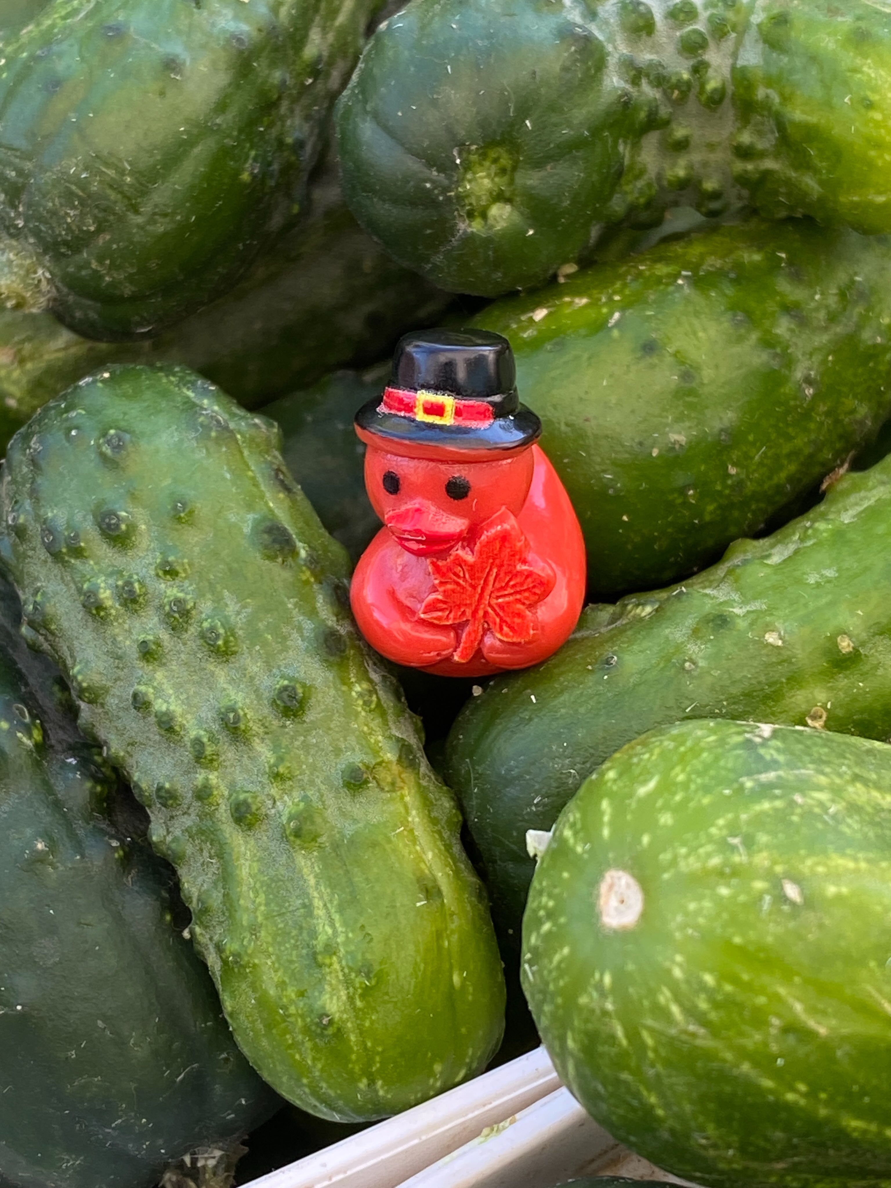 Always a fun find at our farmers market stand. Thank you for the delight @estacada_ducked !