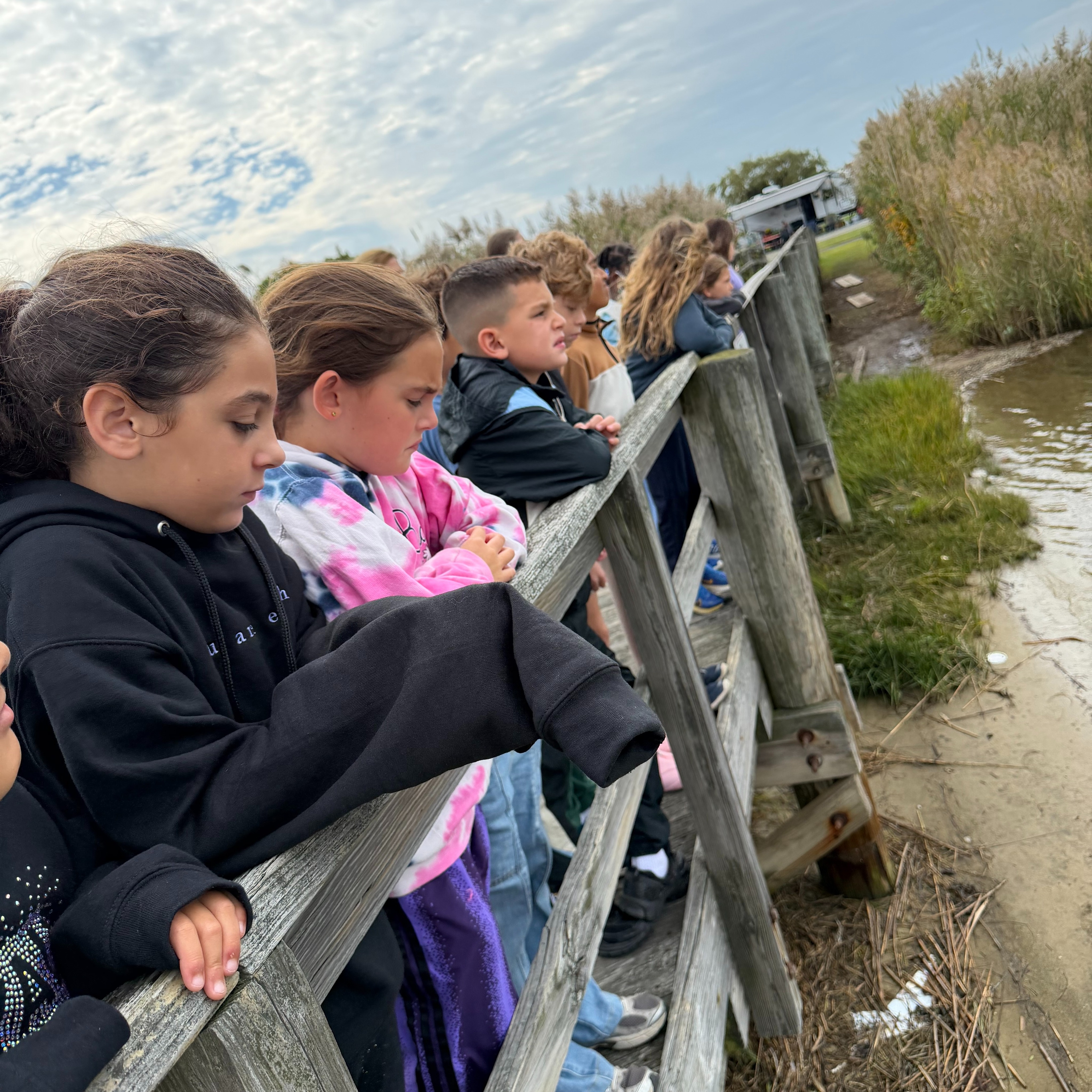 Our 3rd-graders had an exciting, hands-on day of learning at Cornell Cooperative Extension at Cedar Beach! ๐ข๐๐ฆ
Students learned all about reptiles and about brumation, a wintertime period of reduced activity that helps some animals conserve energy during colder months. They also had the opportunity to get up close and touch a variety of reptiles, with the gecko, turtles, and snakes proving to be particular favorites!
After their reptile encounter, students enjoyed the surroundings at Cedar Beach, walking along the pier and bird-watching. It was a wonderful day of exploring, discovering, and connecting classroom learning to the natural world around them!
#thebridgesacademy #bridgesadventures
