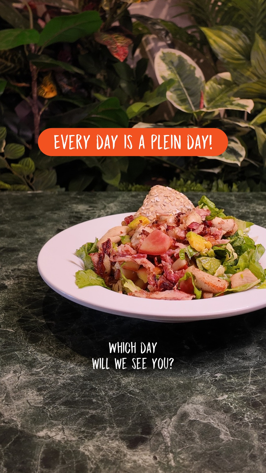 Every day is a Plein day! 🍽️
A different day, a different dish, and always something to look forward to.
Monday, Tuesday, Wednesday… which day is your favorite at Plein?
#pleincafewilhelmina #wilhelminaplein #punda #willemstad
Plein Café Wilhelmina ligt aan het Wilhelminaplein in Curaçao en heeft het gezelligste schaduwrijke terras van Punda. We hebben meer dan 50 ijskoude (speciaal) biertjes, de lekkerste daghappen en we zenden alle belangrijke sportwedstrijden uit op groot scherm. Iedere donderdag tm. zaterdag hebben we Happy Hour van 17.00-18.00