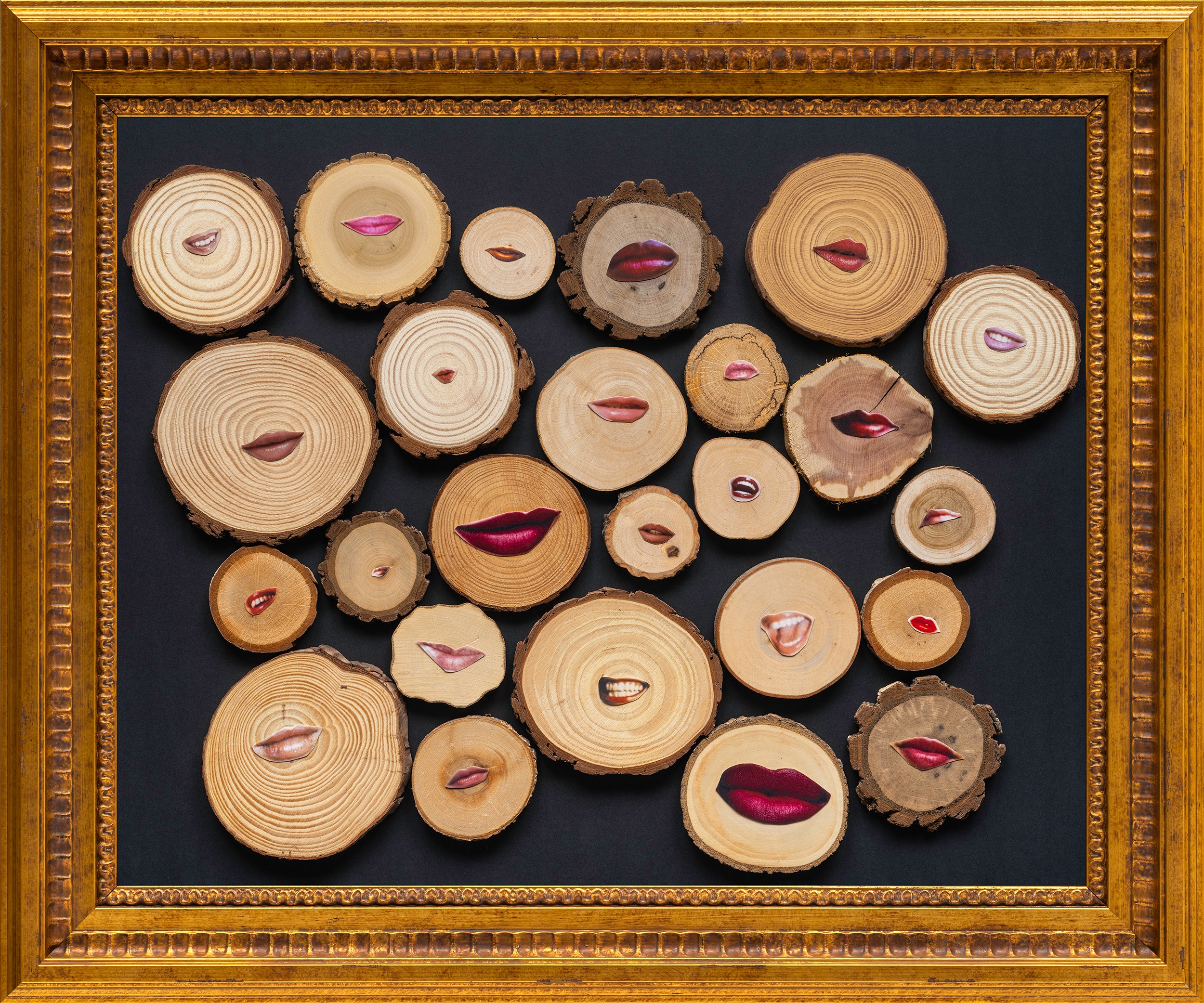 Those of you that are in New York City, join me at my artist’s talk at Nancy Hoffman Gallery today, Thursday, Oct 1st in Chelsea at 5-6pm.
I’ll be talking about my newest artwork:
“If These Walls Could Talk: Women of the Hotel Chelsea,” that was just installed in the permanent Collection of Hotel Chelsea. I stayed there in my twenties as a young filmmaker and felt the presence of all the amazing artists. For this work, I looked up their lips, collaged them onto tree rings, and found a frame that reminded me of this bohemian paradise. The lips include Patti Smith, Joni Mitchell, Janis Joplin, Edie Sedgwick, Nancy Spungen, Grace Jones, Niki de Saint Phalle, Lena Horne, Germaine Greer and more.
I will also share tonight the end results of many experiments for the limited edition prints of the work.
RSVP in bio link or: https://pp.events/bQANaqw9
Read Substack on the story behind the artwork in Bio link too.
#NewYorkArtistTalk
#HotelChelsea
#FallArt
#ContemporaryArt
#CollageArt
#TreeRings
#RedLiips
#WomenArtists