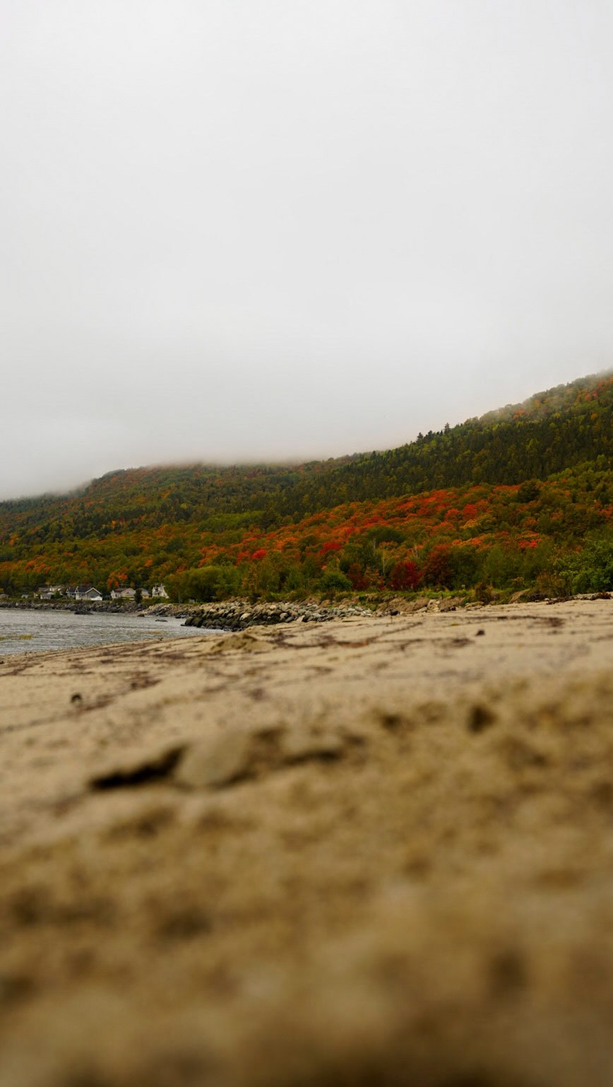 Les couleurs sont bien installées, l’air se rafraîchit et le village prend doucement son rythme d’automne. C’est le moment parfait pour ralentir, profiter des paysages et faire le plein de petites escapades.
🍁 Admirer les couleurs d’automne en parcourant les routes pour t’y rendre
🥾 Profiter des sentiers et des points de vue sur le fleuve directement du @lemassif
☕ Prendre une pause réconfortante au @cooplaffluent
📸 T’arrêter ici et là pour capturer les paysages qui changent chaque jour
🌊 Profiter des derniers moments doux au bord du Saint-Laurent
Octobre, c’est aussi le charme des journées tranquilles, des gros chandails et des paysages qui n’ont pas besoin d’en faire trop pour impressionner.
Et toi, ton incontournable de l’automne à Petite-Rivière-Saint-François? 🍂
Crédit photo : @amande.jager