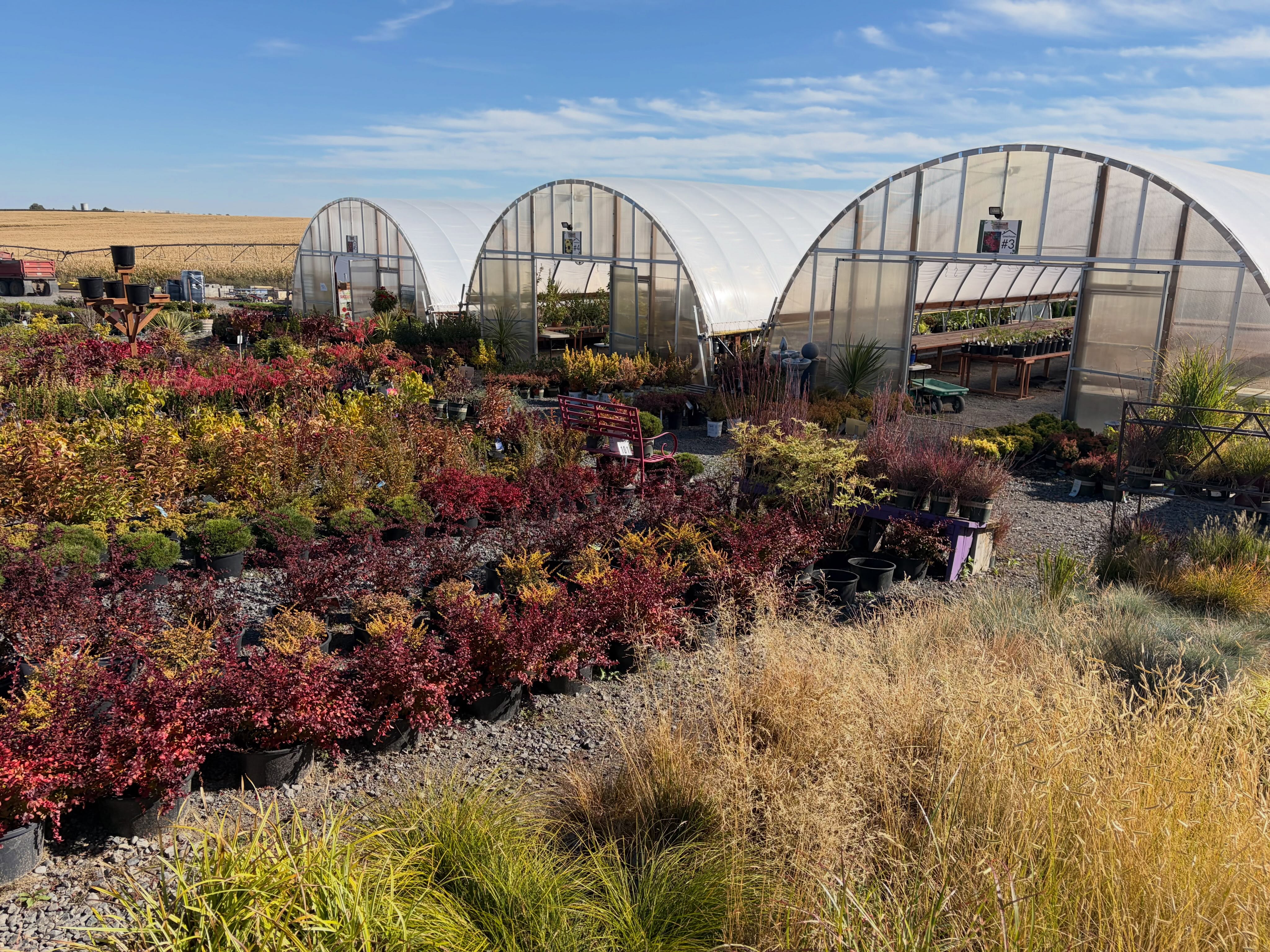 ๐ฑ What plants are on your wishlist? ๐คฉ
Tomorrow is warming up to be the perfect day to pick out your dream trees, shrubs, perennials and more with 20% OFF all plants at our Fall Celebration! ๐๐๐