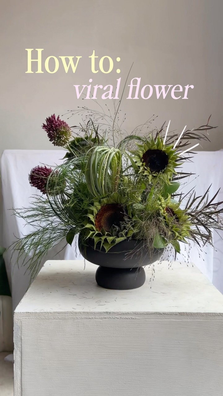 Here’s a little “tutorial” on how to make this unique flower! Most of the people might think it must be some new unique flower when it’s actually petal-less sunflower🌻
Whenever we get this flower inquires we try to make it with a bit aged sunflower since it would be easy to pluck the petals and it just feels right than plucking the newest sunflower (sometimes whenever looking at the plucked out petals I feel little bit bad :/)
What do you guys think? Is ur mystery has been solved? Stay tuned for another trendy rolled up grass that’s been trending ✨
#nycflorist #floraldesign #luxuryflowers #uniqueflowers #nycflowers