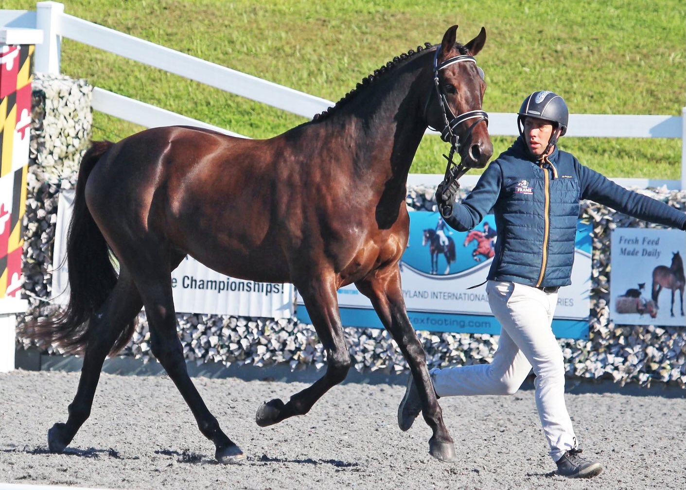 This week, Robby welcomes back French Eventer Martin Douzant. Martin is a 3* rider that is based in The Plains, VA and owns and operates @theframesporthorses . He updates us on everything he has going on with his business and talks about how he uses his French education to produce top quality young horses. Martin also talks about how he teaches jump chute clinics across Area 2. It was great catching up with Martin and he said he would come back every year.....we just may hold him to it!
Available today whenever you listen to podcasts!
https://majorleagueeventing.buzzsprout.com/168580/episodes/19878184
Please support our sponsors:
@manentailequine
@cowboymagicusa
@exhibitorsequine
@triplecrownfeed
#eventing
#equestrianlife
#equestrianpodcast
#majorleagueeventing
#majorleagueeventingpodcast