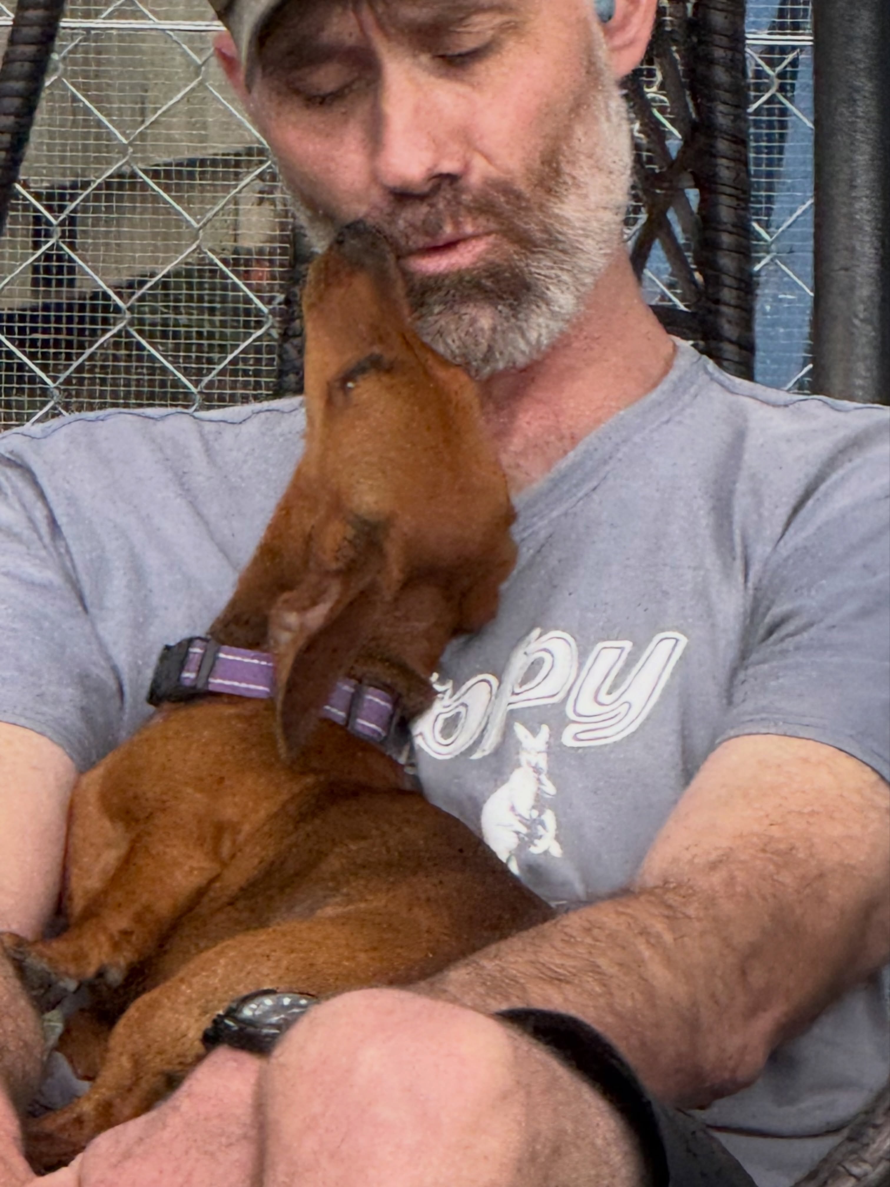 Lola having a little moment with Ian 🥰 while her brother Bruce is busy doing snoot boops with me for treats 🐶👃😂
At BMPR, it’s not just about treats, training and having fun together — there’s always plenty of time for cuddles, one-on-one attention and a bit of love too. ❤️🐾
#DogBoarding #PetResort #DogHotel #DogLovers #HappyDogs