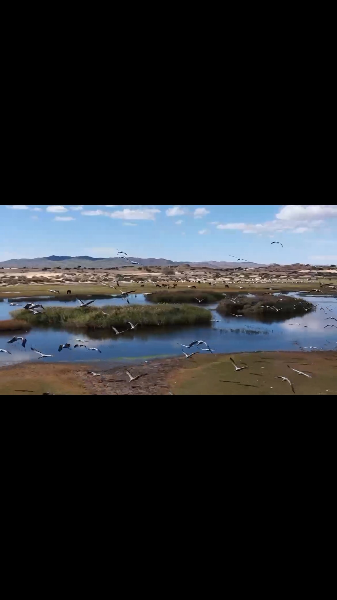 Amazing and peaceful 🪽✨
Welcome to Mongolia. 🇲🇳
🔎 Discover more at: 🔗 https://www.mongoliantour.guide/
.
.
.
#EnzaTours #AmazingAndPeaceful #visitmongolia #NatureLovers