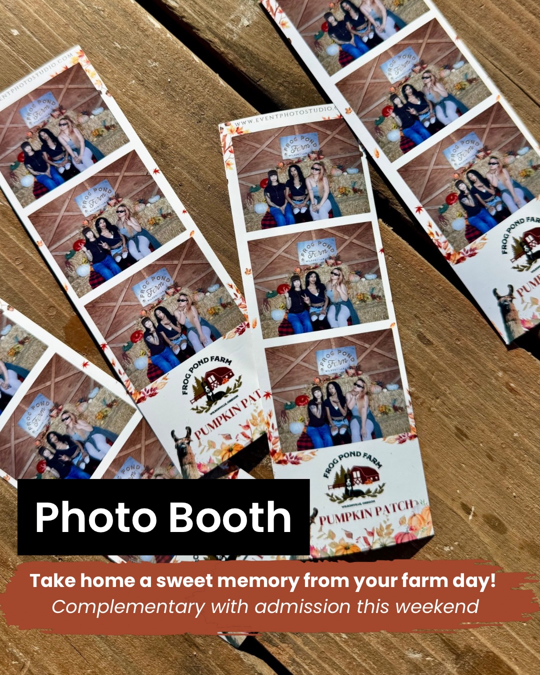 Pics or it didn’t happen, right? 📸
Good thing our Photo Booth is FREE.
We’ve teamed up with eventphotostudio to bring you a cute fall Photo Booth with complementary prints all weekend long! Don’t miss this chance to capture your farm day 🎃💚
🎃 October 3rd & 4th
📍Frog Pond Farm, Wilsonville, OR