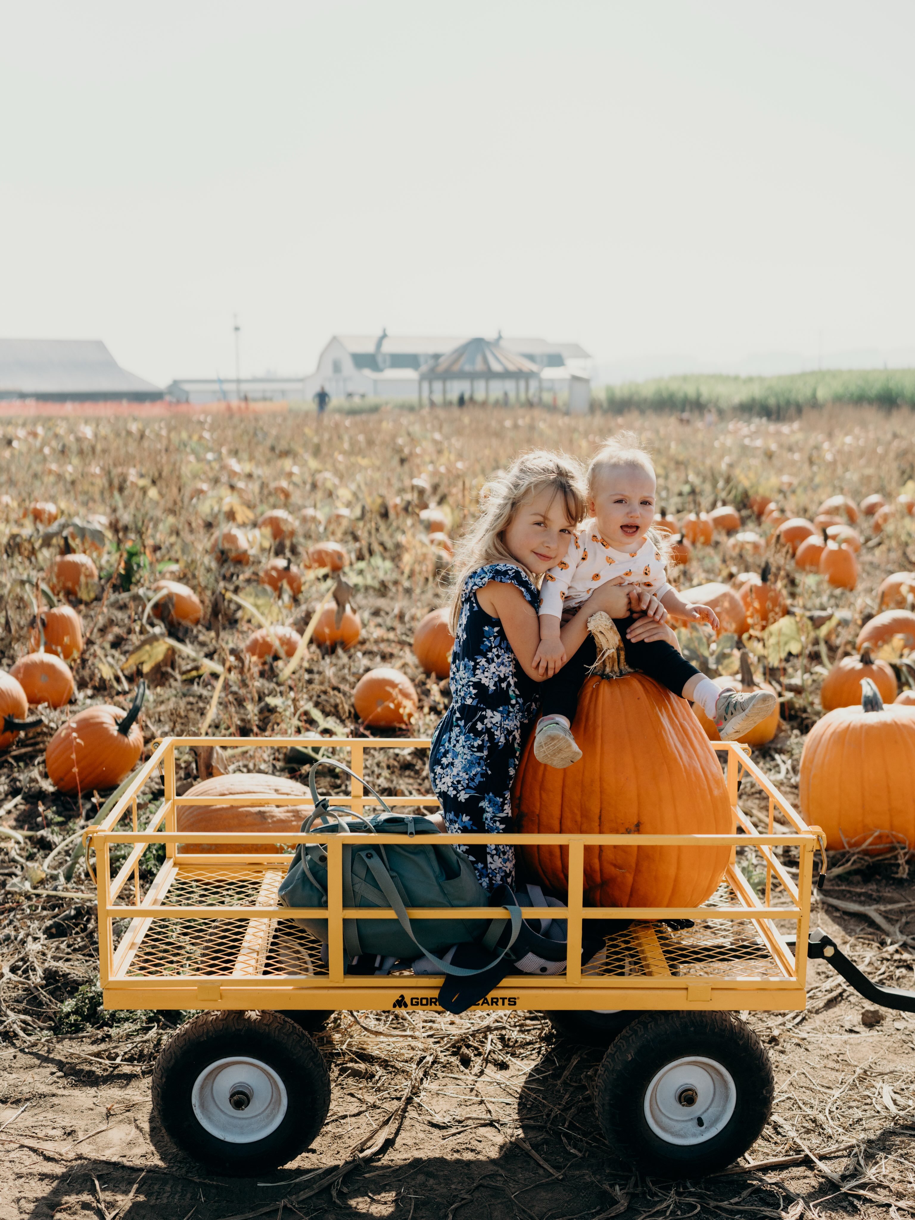 It’s Sunday on the farm, and we’re ready for another beautiful day of fall fun!
Join us today from 10–5 and enjoy fall your way. Admission to the farm is FREE, and you can choose which activities, food, and treats you’d like to enjoy while you’re here.
Pick from 52 varieties of pumpkins, take on our 10-acre corn maze for $6 per person (last maze entry is at 4:15), ride the train around the farm, enjoy the playground, grab warm apple cider donuts and your favorite fall drinks, and enjoy live music with @joannaleemusic from 12–3. Our Farmhouse Kitchen and Front Porch Kitchen will also be open with food, drinks, and fall treats, and @barndoorbrewing_ will be serving beer and wine.
Come for a pumpkin, stay for lunch, explore the maze, listen to some music, or make a whole day of it. There’s something for everyone to enjoy this fall at Hoffman Farms Store!
We also want to say a huge thank you to everyone who visited us yesterday while our power was out. We truly appreciate your patience, flexibility, and understanding while our team worked through an unexpected situation. And a big thank you to Portland General Electric for their quick response and hard work getting us back up and running.
We’re ready for a great Sunday on the farm and can’t wait to see you! Open today from 10–5.
#hoffmanfarmsstore #fallvibes🍁 #thankyou