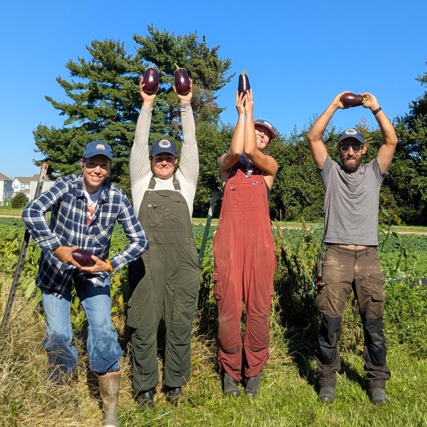 Long after giving up on this eggplant patch (it languished after living through a heat dome followed by 12 inches of rain), it has completely surprised us with a renaissance! These beauties landed in the @columbusfarmclub CSA boxes today.
It's a lesson to be grateful for unexpected abundance, wherever and whenever it comes!