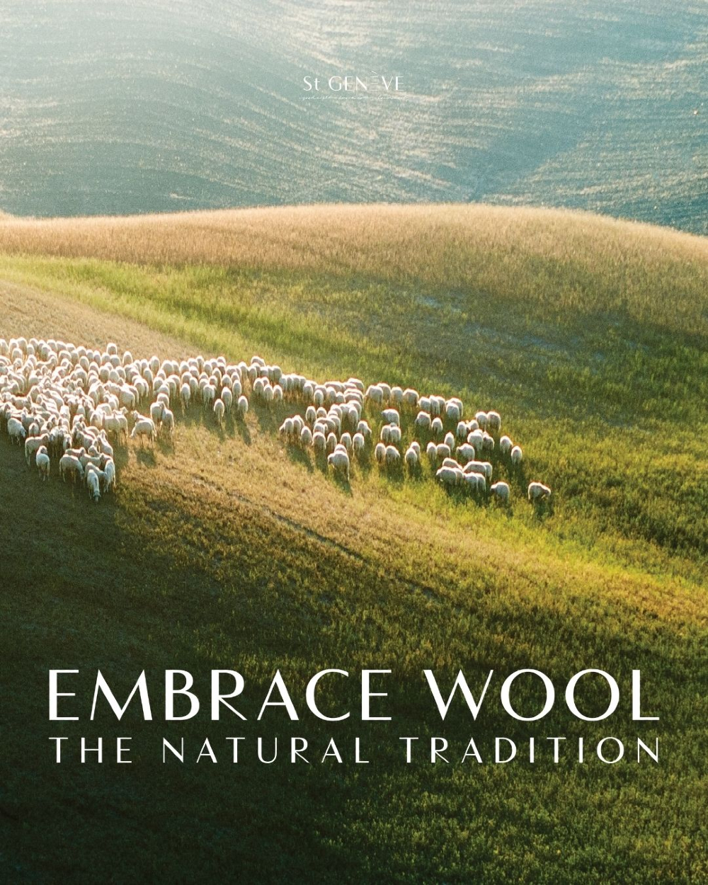 WHY WE LOVE WOOL BEDDING| 6 reasons why you will fall in love with wool bedding. Learn about the best wool duvets, pillows and mattress protectors.
Visit "Living in Comfort" our blog section in our website.
stgeneve.com/post/6-reasons-you-will-love-wool-bedding