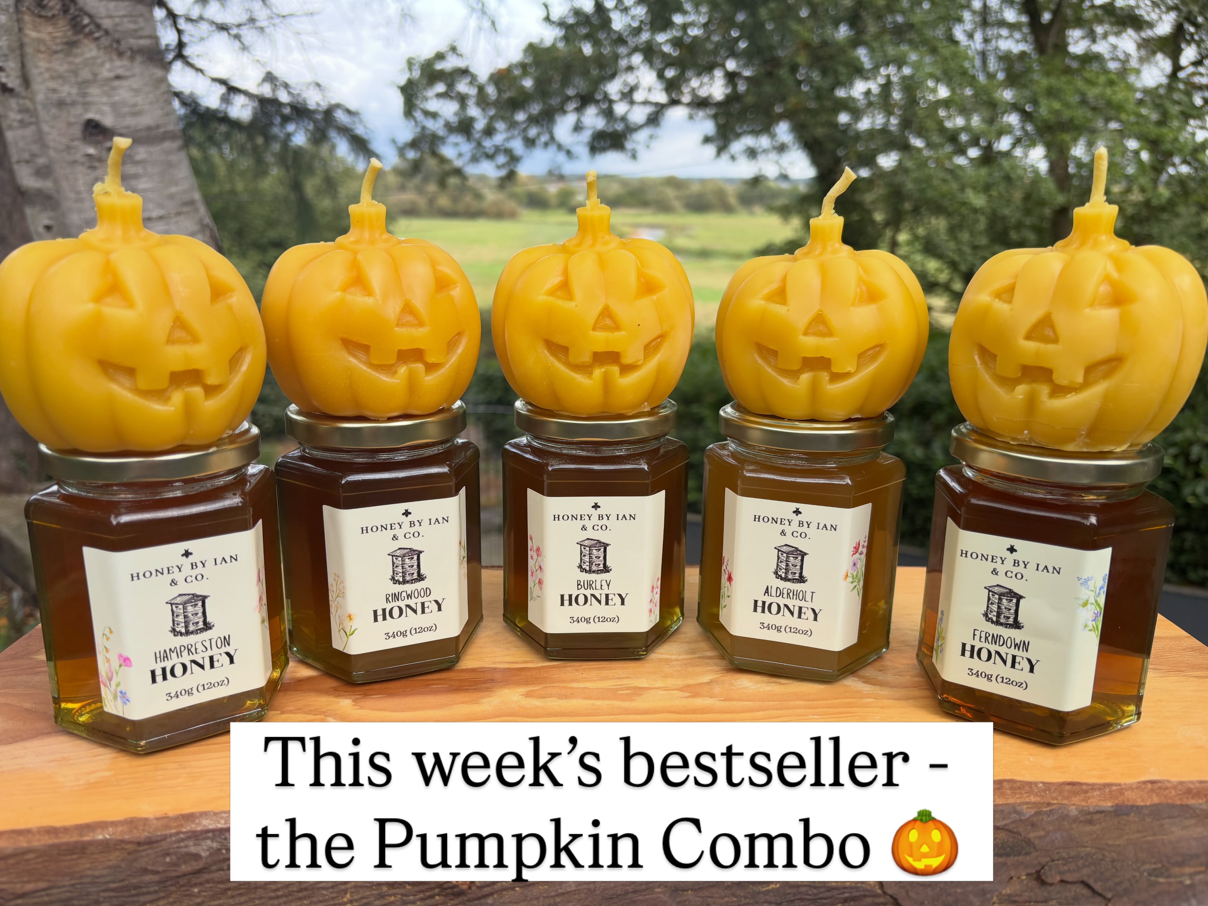 🎃 Did you know that beeswax candles burn slowly and cleanly with a soft, natural glow and no soot? Their subtle honey-like scent and gentle light can make a space feel peaceful and inviting.
🐝 All our candles are made with beeswax from our hives that we triple filter to remove any impurities. We pour the beeswax into silicone moulds and do not add artificial colours or scents - completely natural, just how candles were many years ago.
🙏🏻 We’ve had lots of orders this week, but most popular by far has been the “Pumpkin Combo”, only available through our website - go to the CANDLES or GIFT sections. You’ll get a freshly harvested 12oz jar of honey from the location of your choice, and a beautiful handmade beeswax pumpkin candle. A lovely gift or a special treat for yourself!
#beeswax #handmade #honey #pumpkin #local