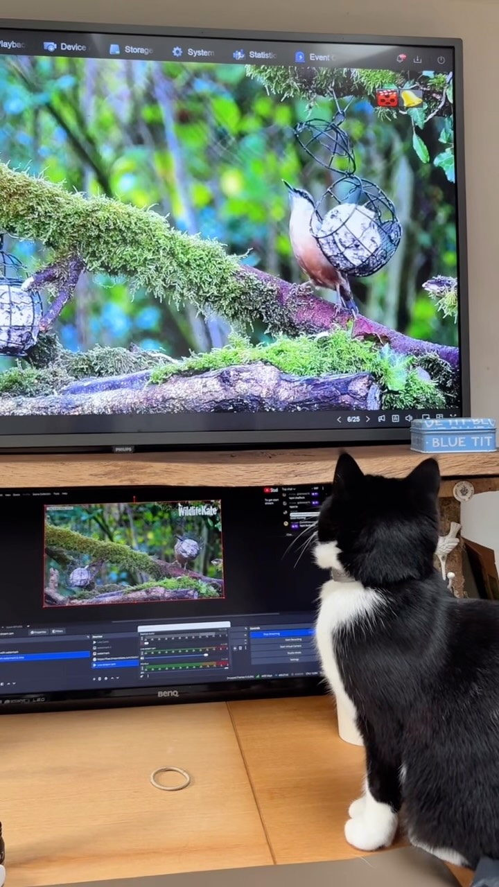 Cat TV!
Live streaming now YouTube channel 😂😂
@hikvisionuk
