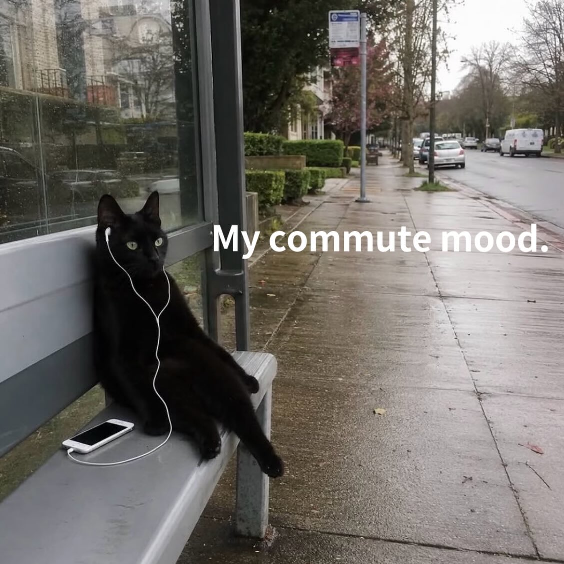 Socially recharged only when headphones are in.
Bus please hurryā¦ā¦
#catswoppr #catmemes #catlife