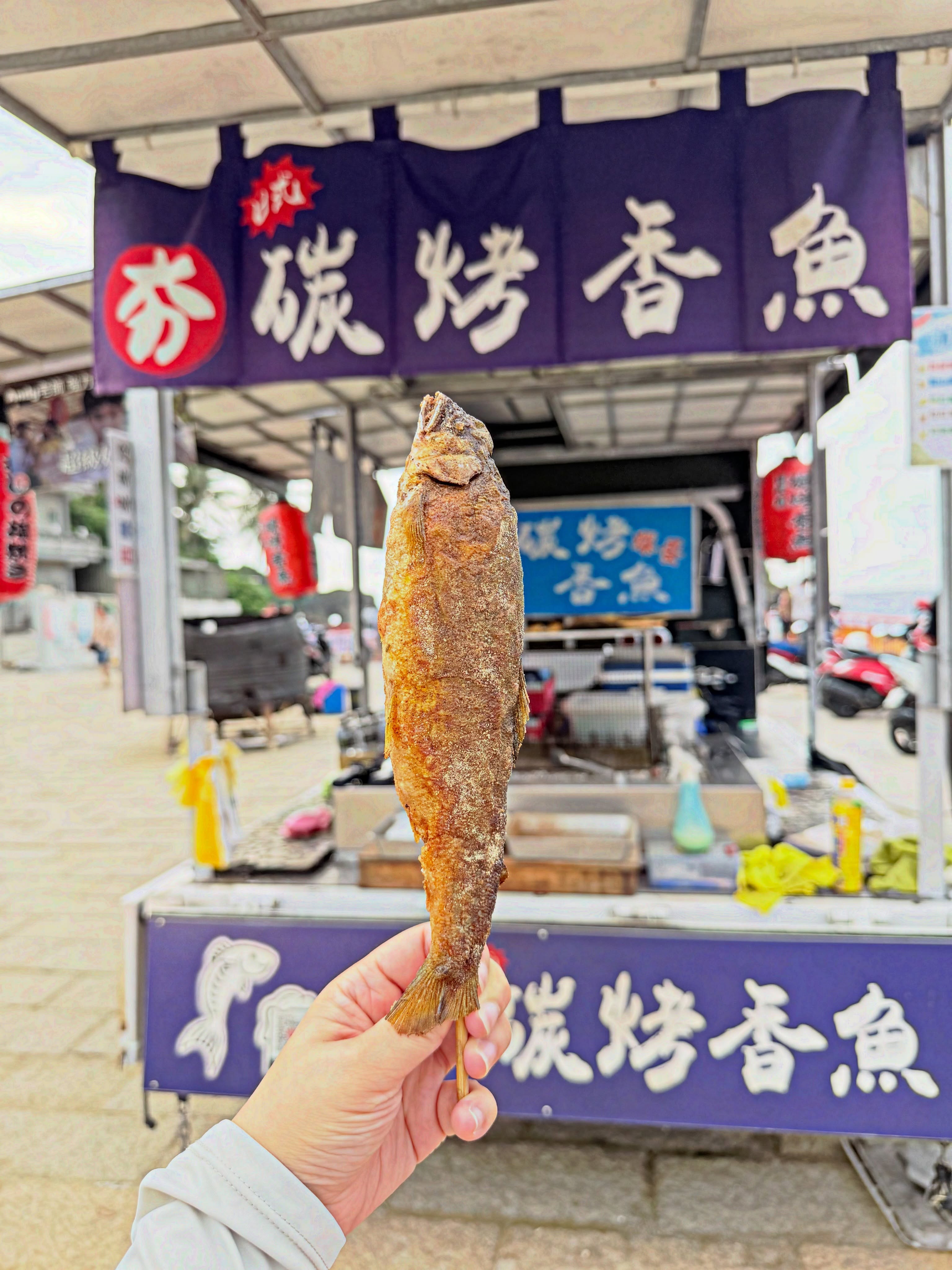慢活@小琉球
#小琉球
#海龜
#多春魚
#屏東
#慢活