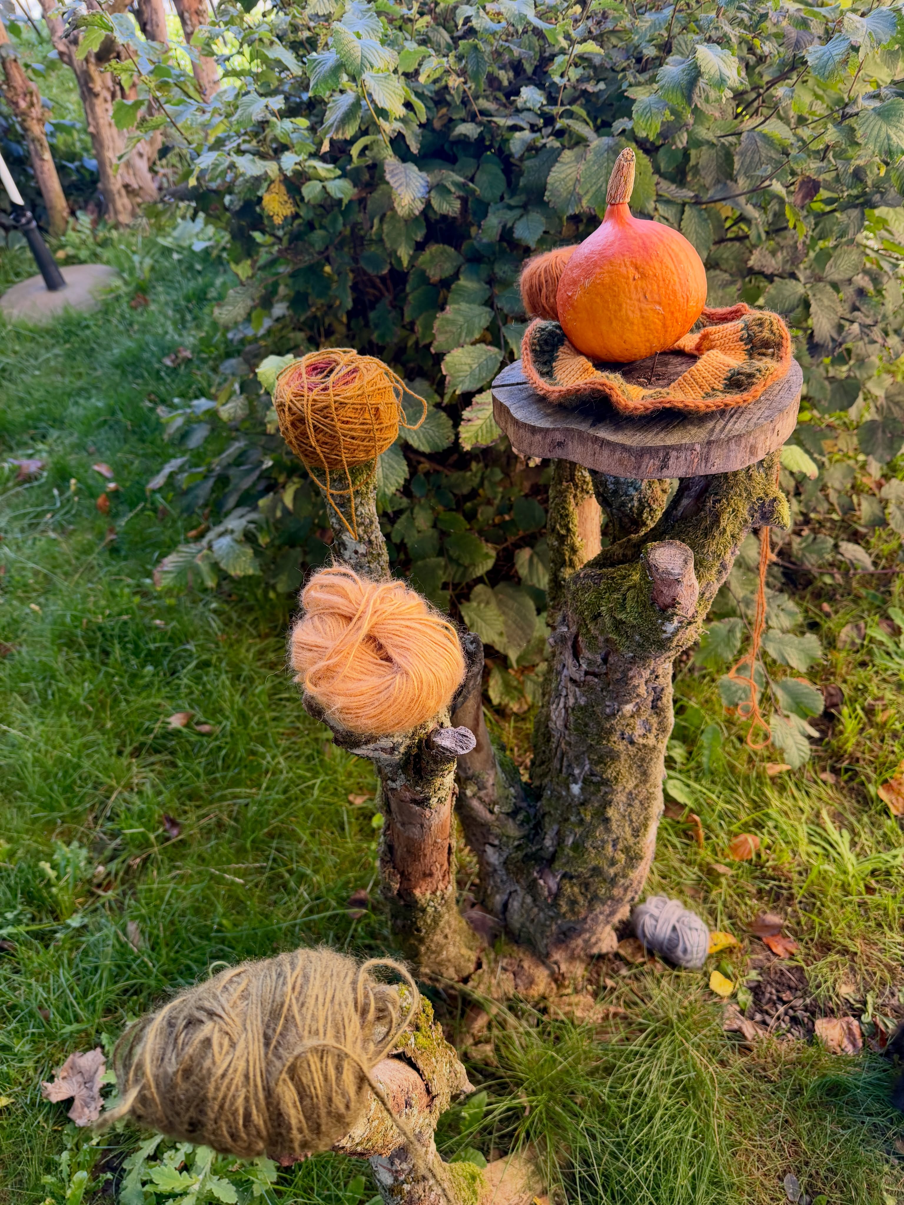 Autumn is here and it brings great new wips ❤️❤️ 🍂🍄🟫🍁